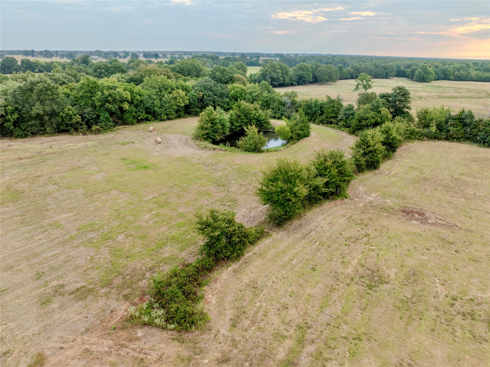 Tbd Fm 1502 Highway Blossom TX 75416