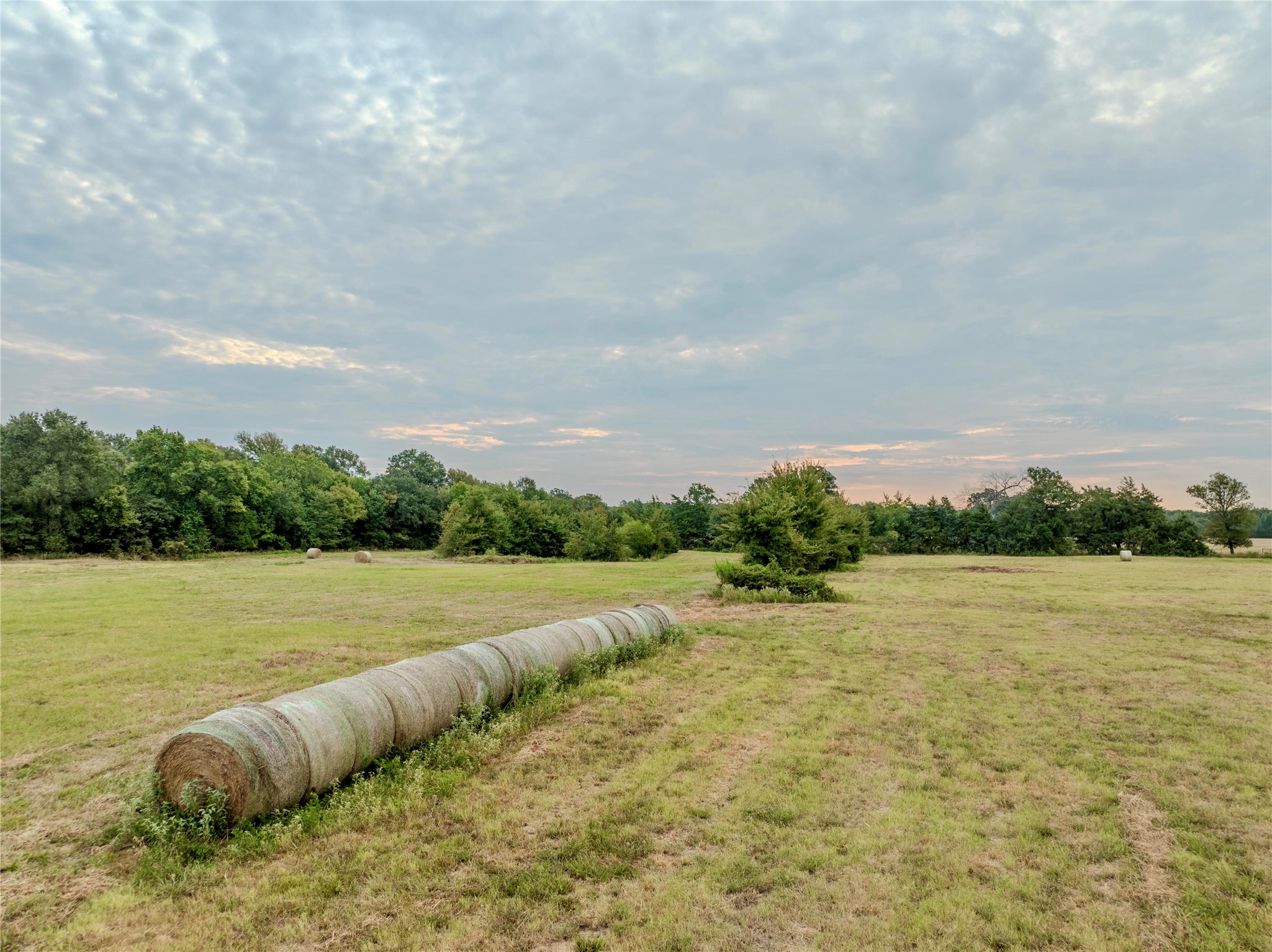 Tbd Fm 1502 Highway Blossom TX 75416