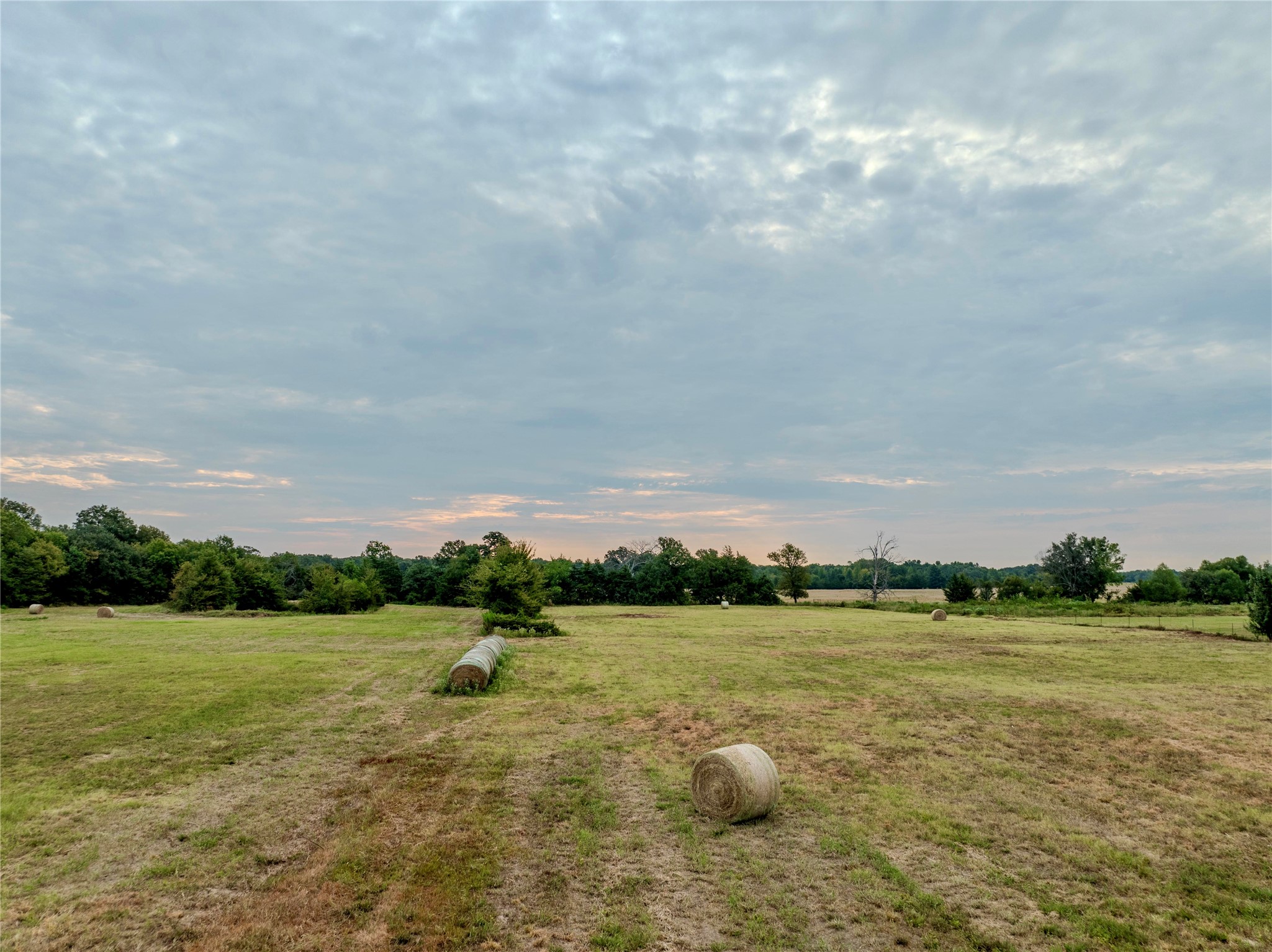 Tbd Fm 1502 Highway Blossom TX 75416