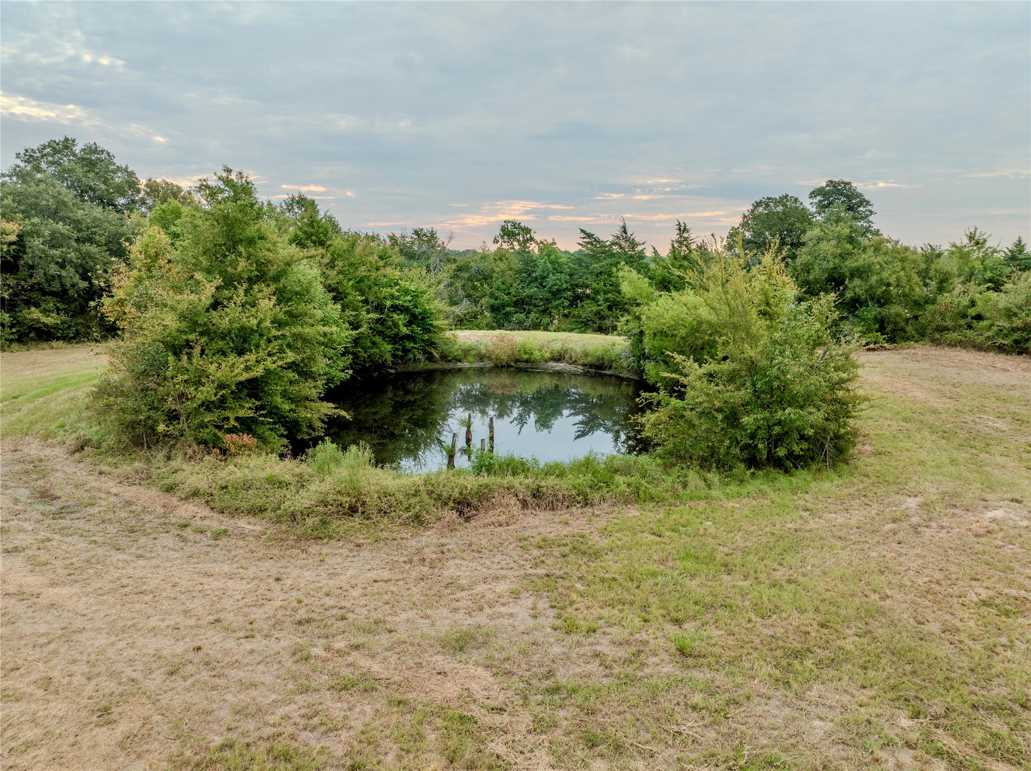 Tbd Fm 1502 Highway Blossom TX 75416
