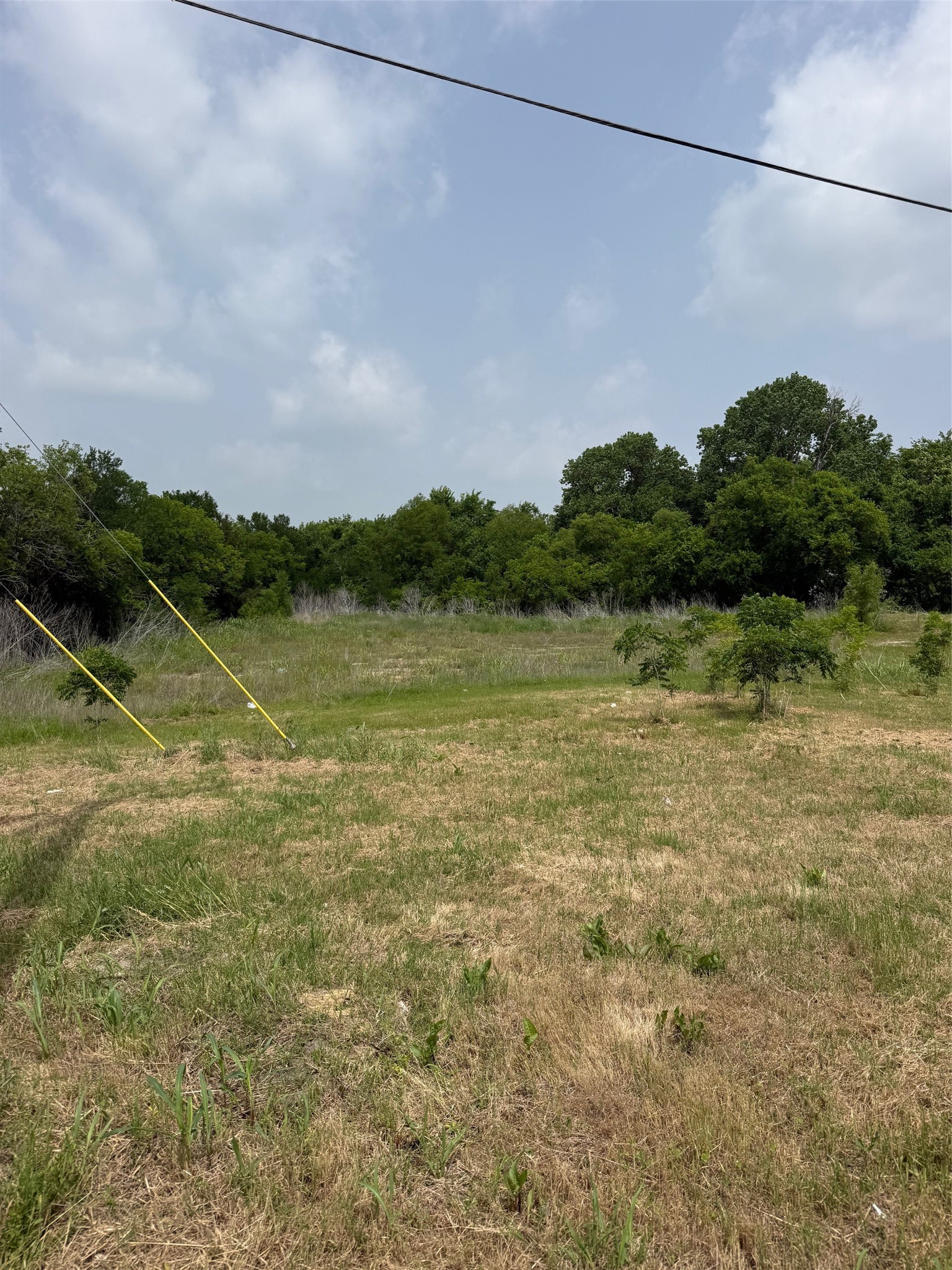 430 N Dallas Street Palmer TX 75152