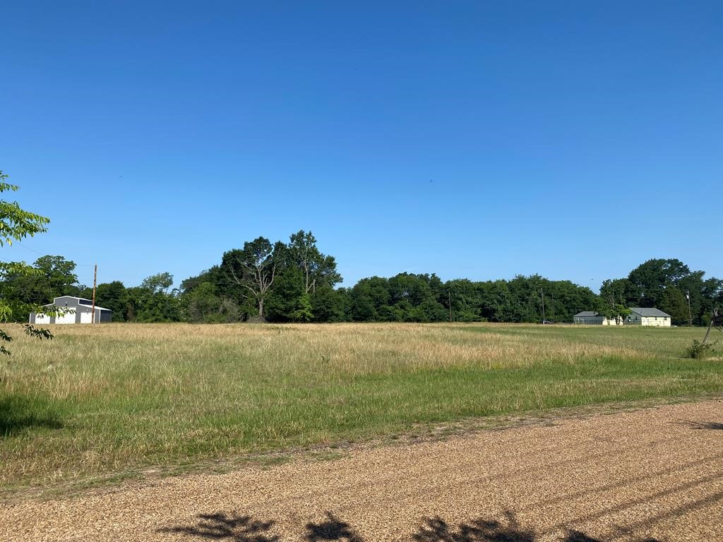 Tbd Lot 140 Amelia Circle Trinidad TX 75163