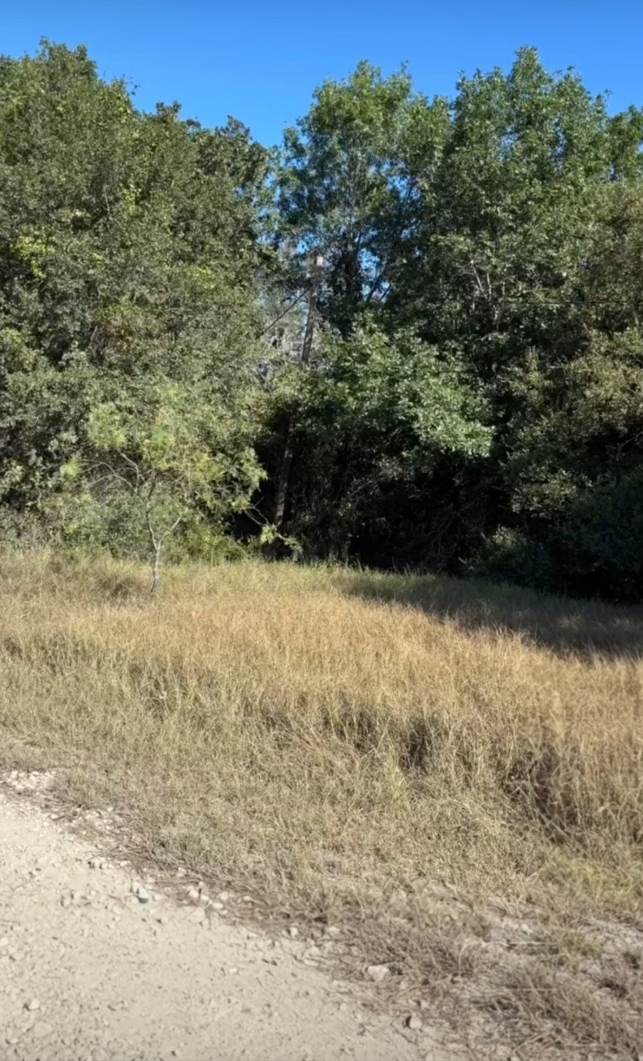 Tbd NW County Road 3112 Purdon TX 76679