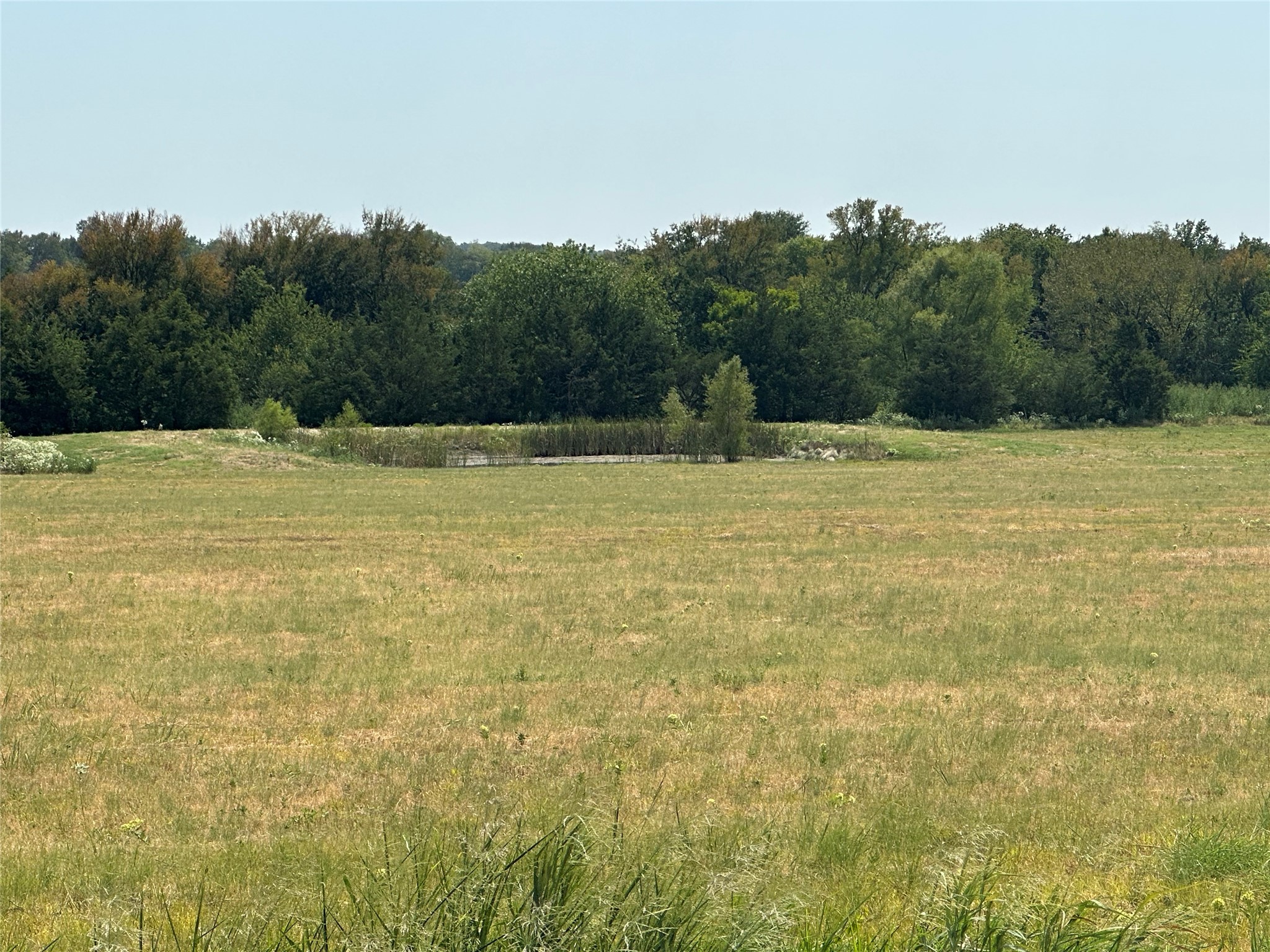 Tbd Fm 1184 Paris TX 75462