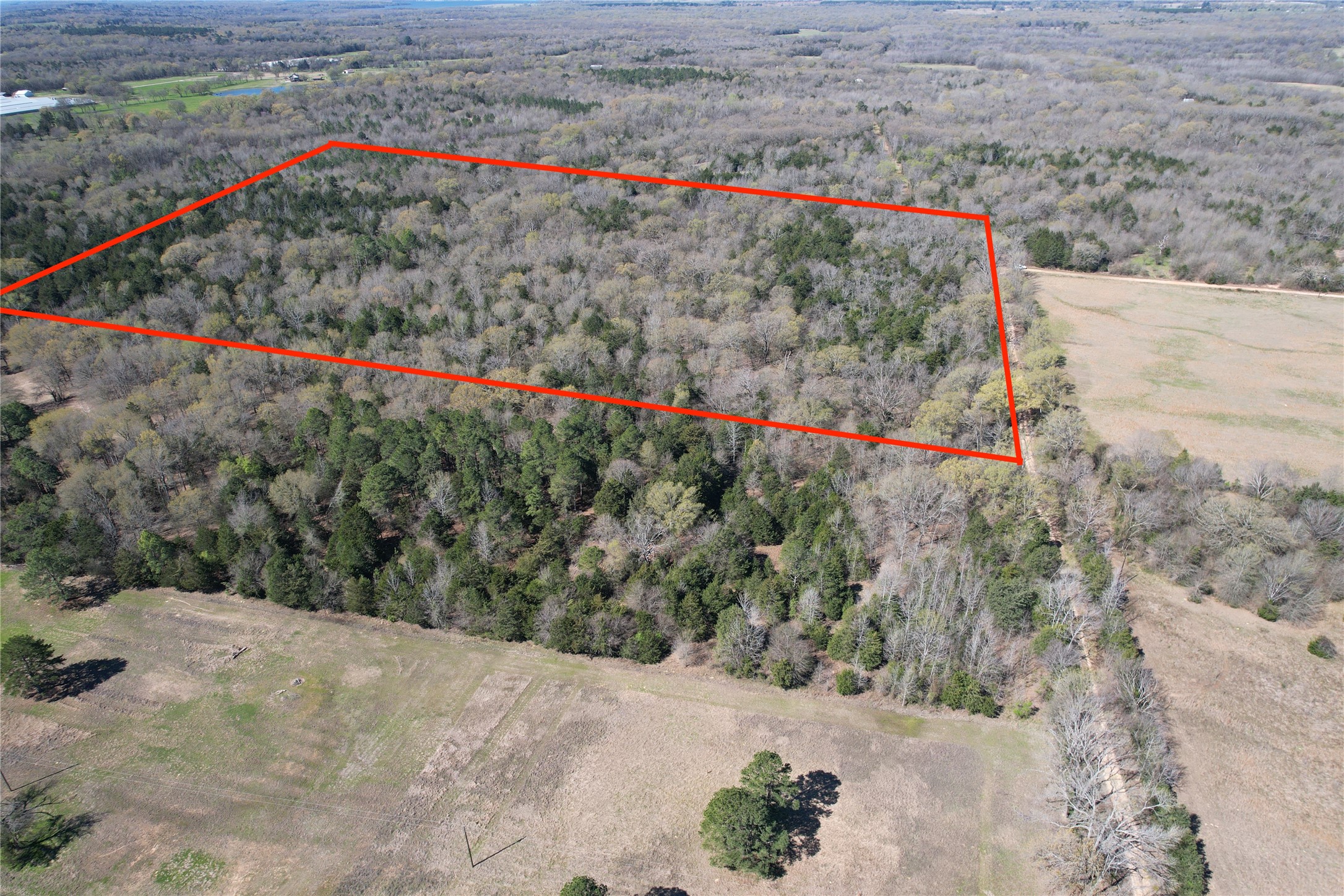 000 Hop Cty Road 2412 Como TX 75431