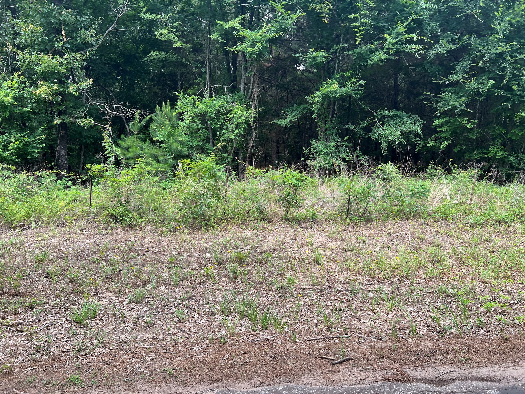 Tbd Vz County Road 4112 Canton TX 75103
