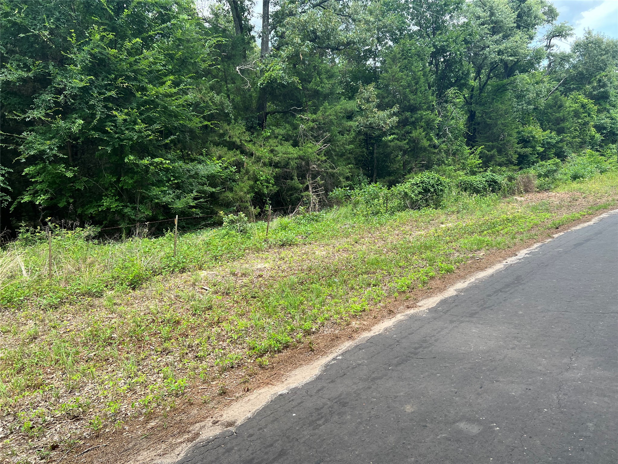 Tbd Vz County Road 4112 Canton TX 75103