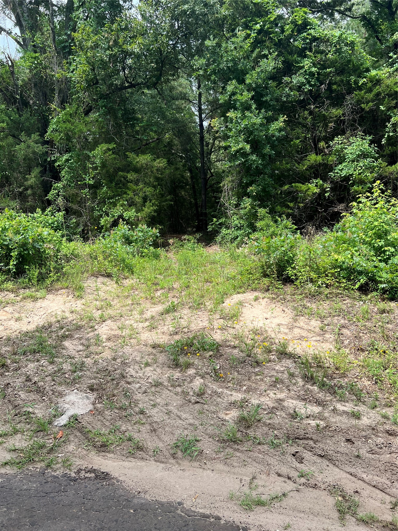 Tbd Vz County Road 4112 Canton TX 75103