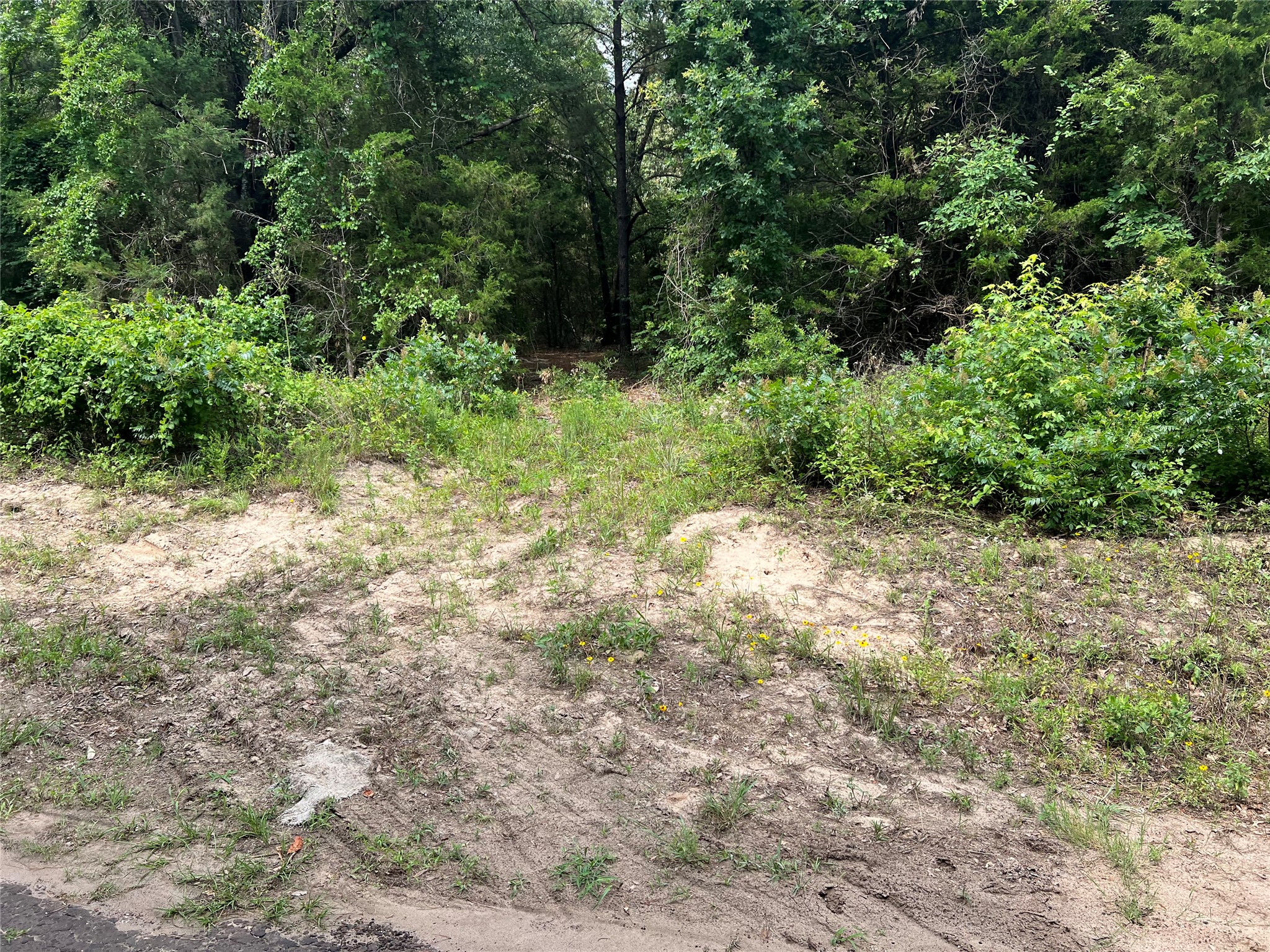 Tbd Vz County Road 4112 Canton TX 75103