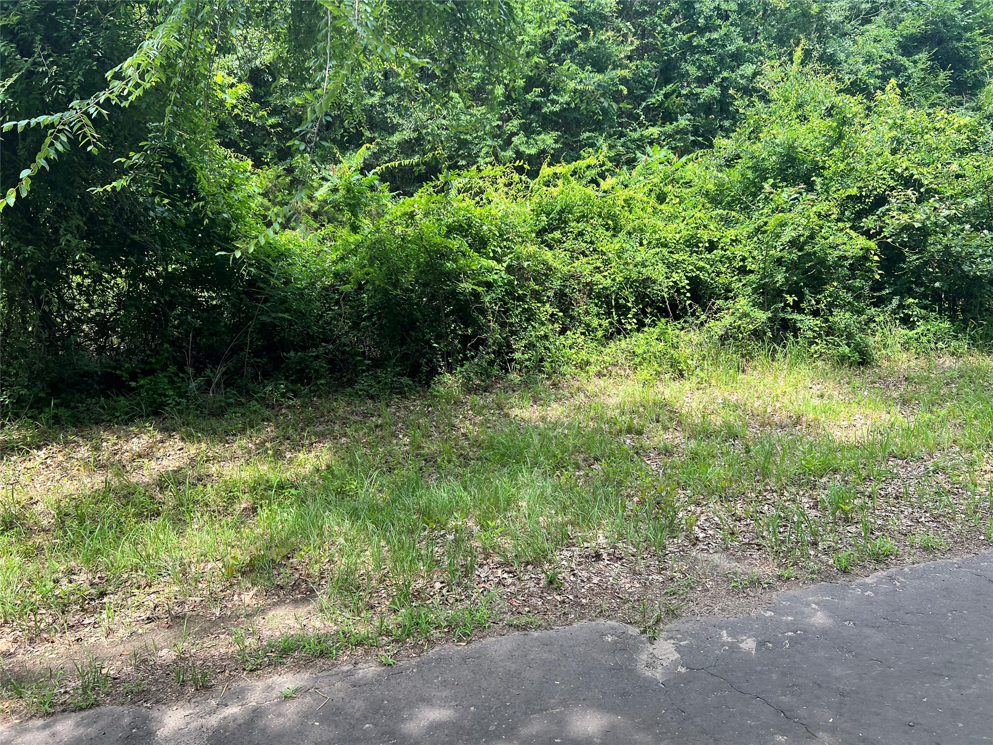 Tbd Vz County Road 4112 Canton TX 75103