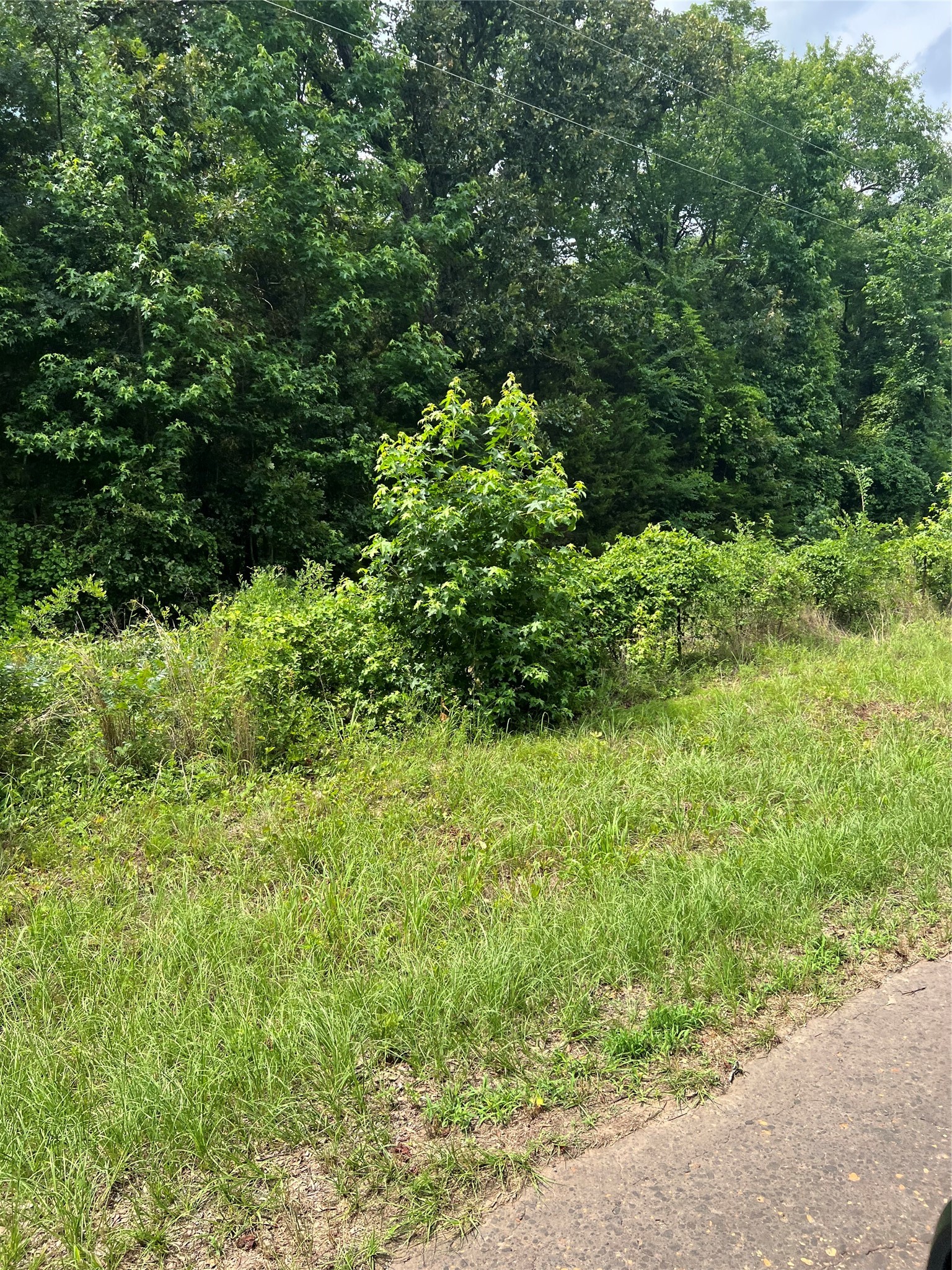 Tbd Vz County Road 4112 Canton TX 75103