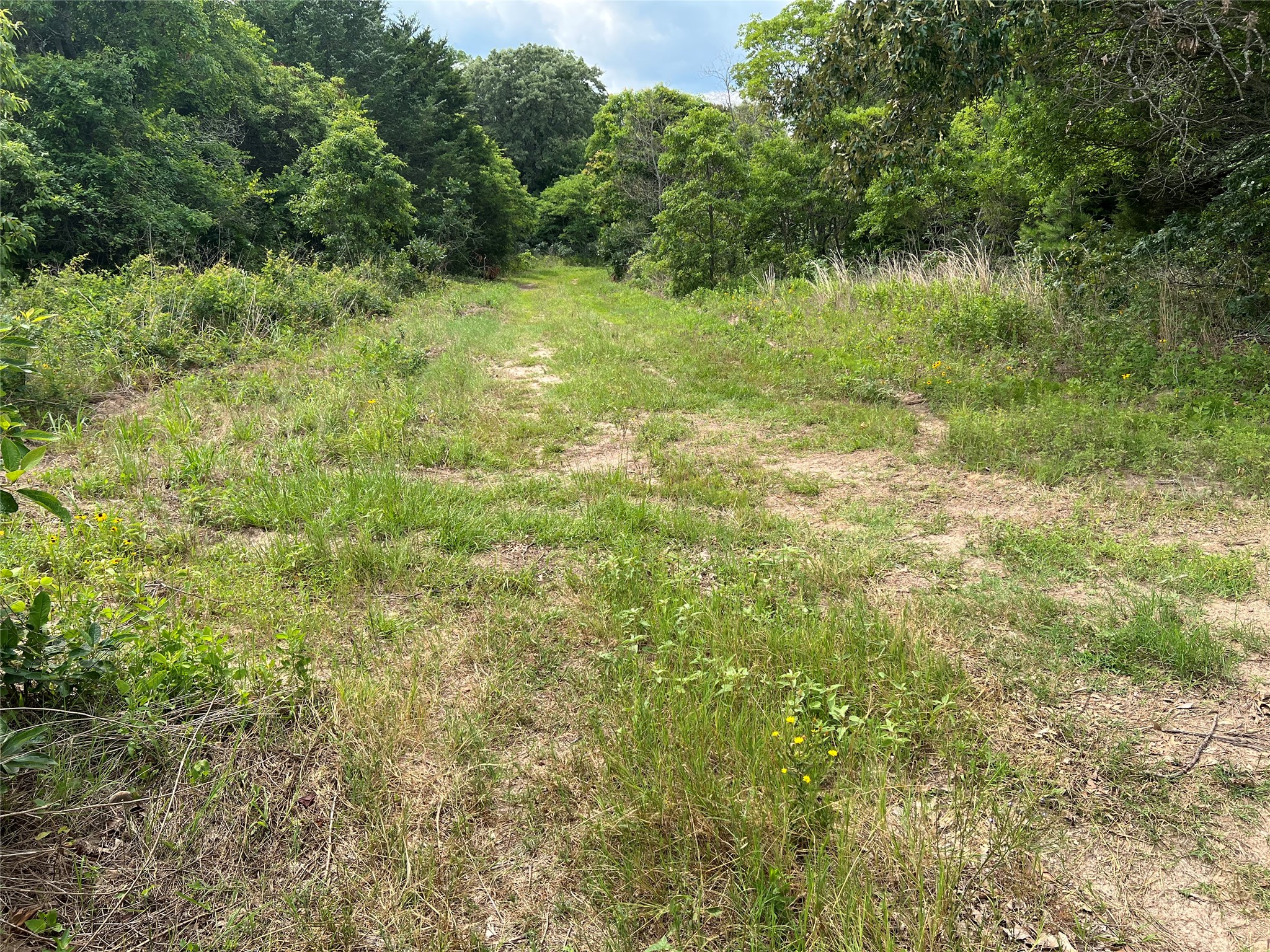 Tbd Vz County Road 4112 Canton TX 75103