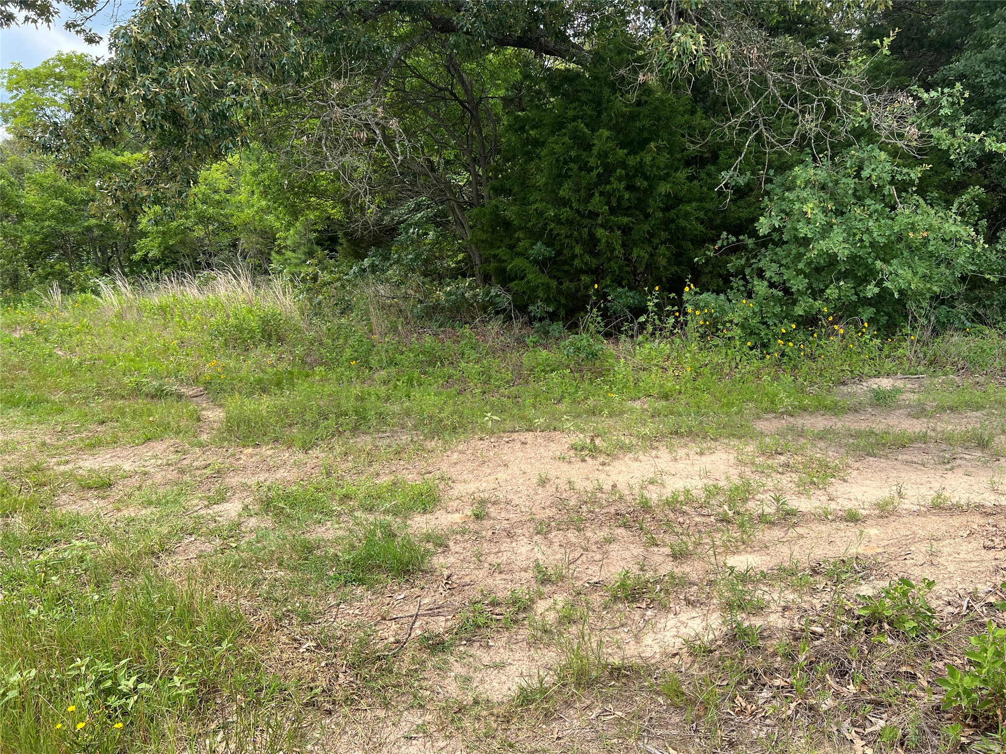 Tbd Vz County Road 4112 Canton TX 75103