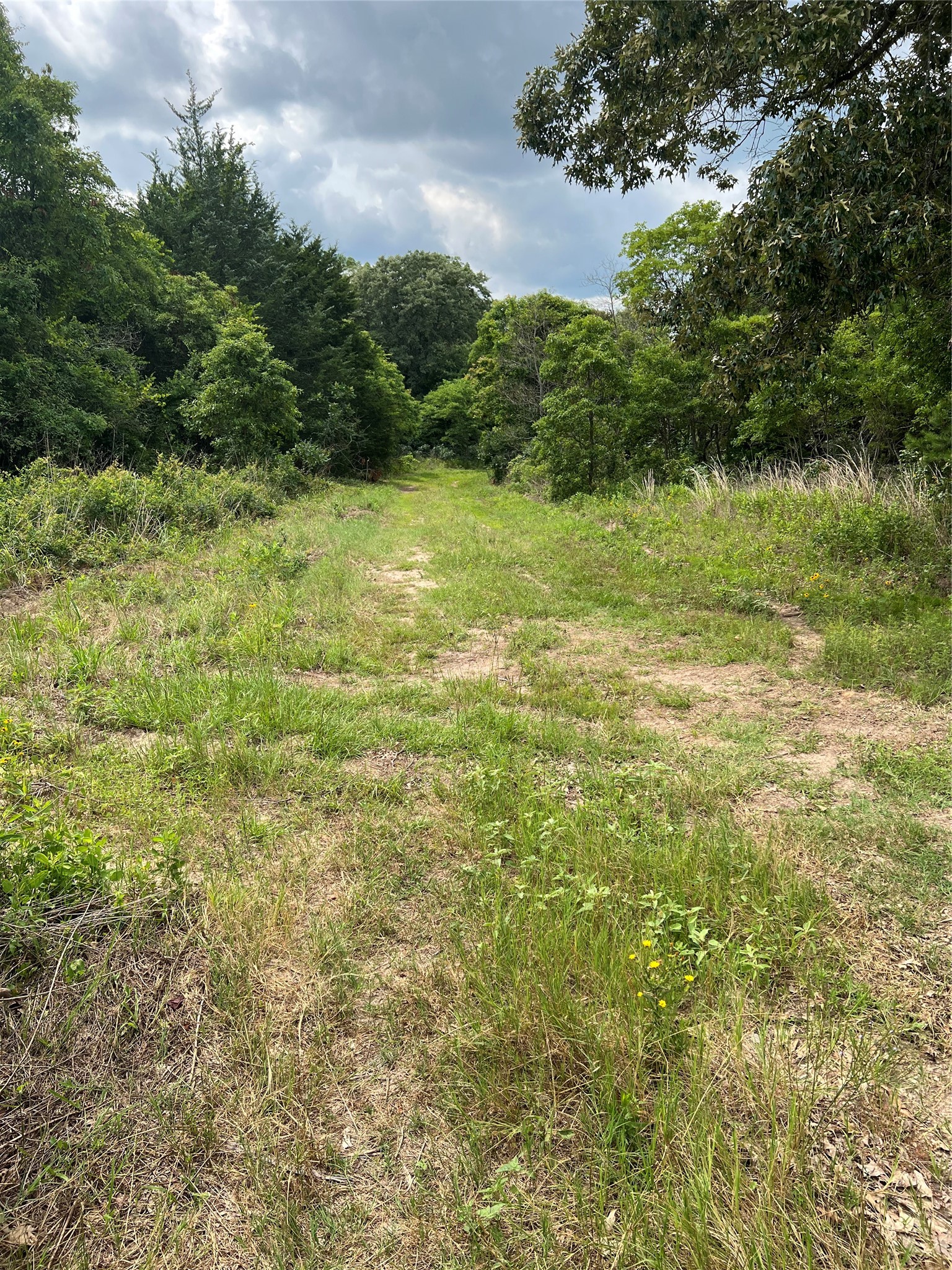Tbd Vz County Road 4112 Canton TX 75103
