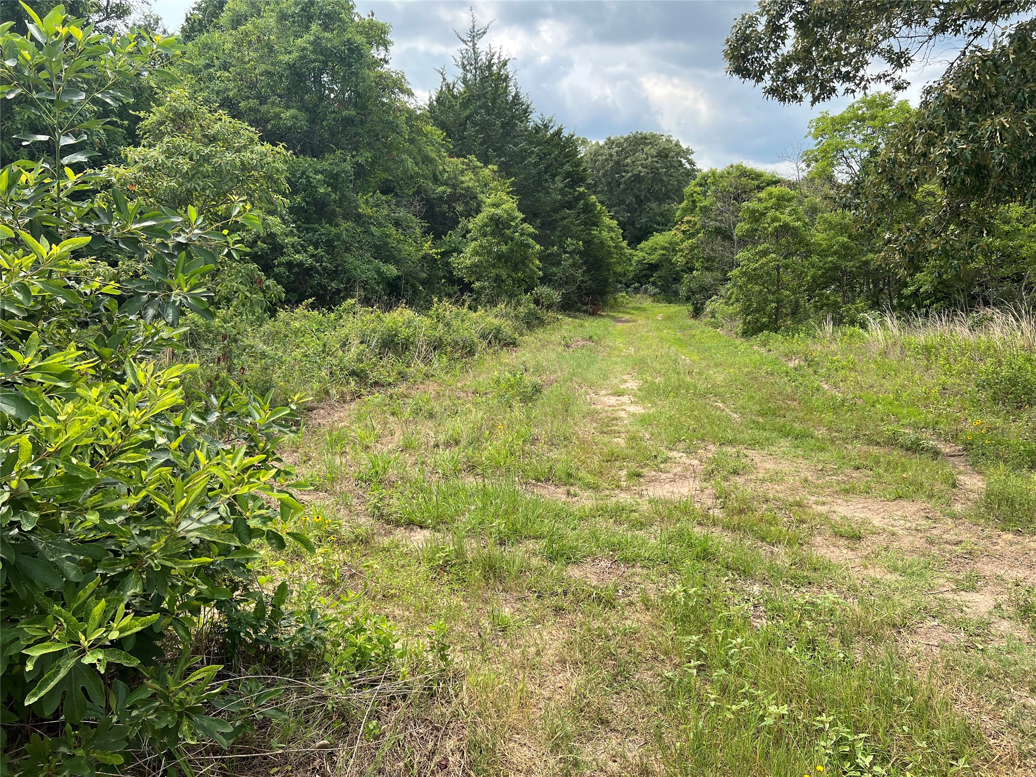 Tbd Vz County Road 4112 Canton TX 75103