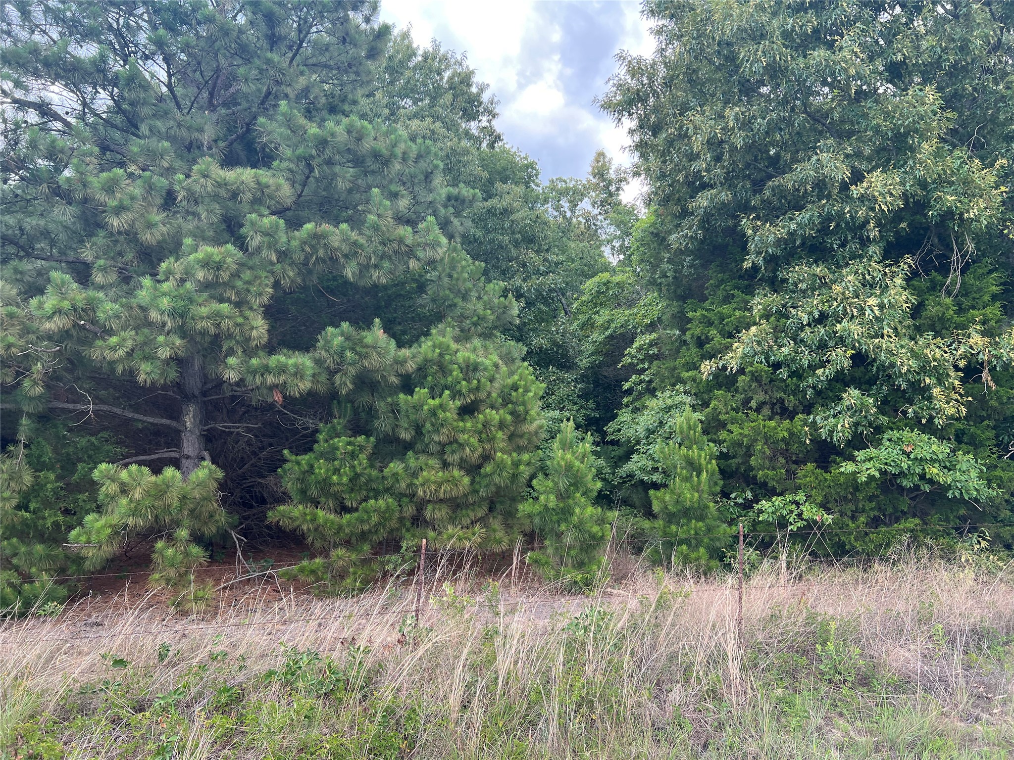 Tbd Vz County Road 4112 Canton TX 75103