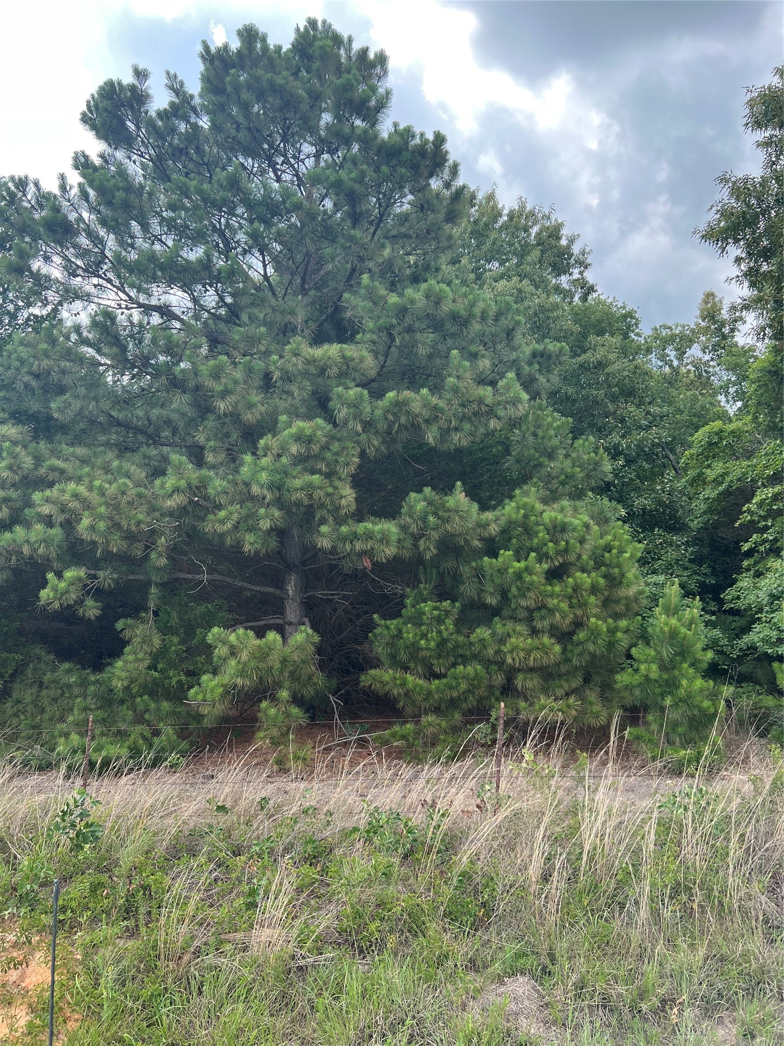 Tbd Vz County Road 4112 Canton TX 75103