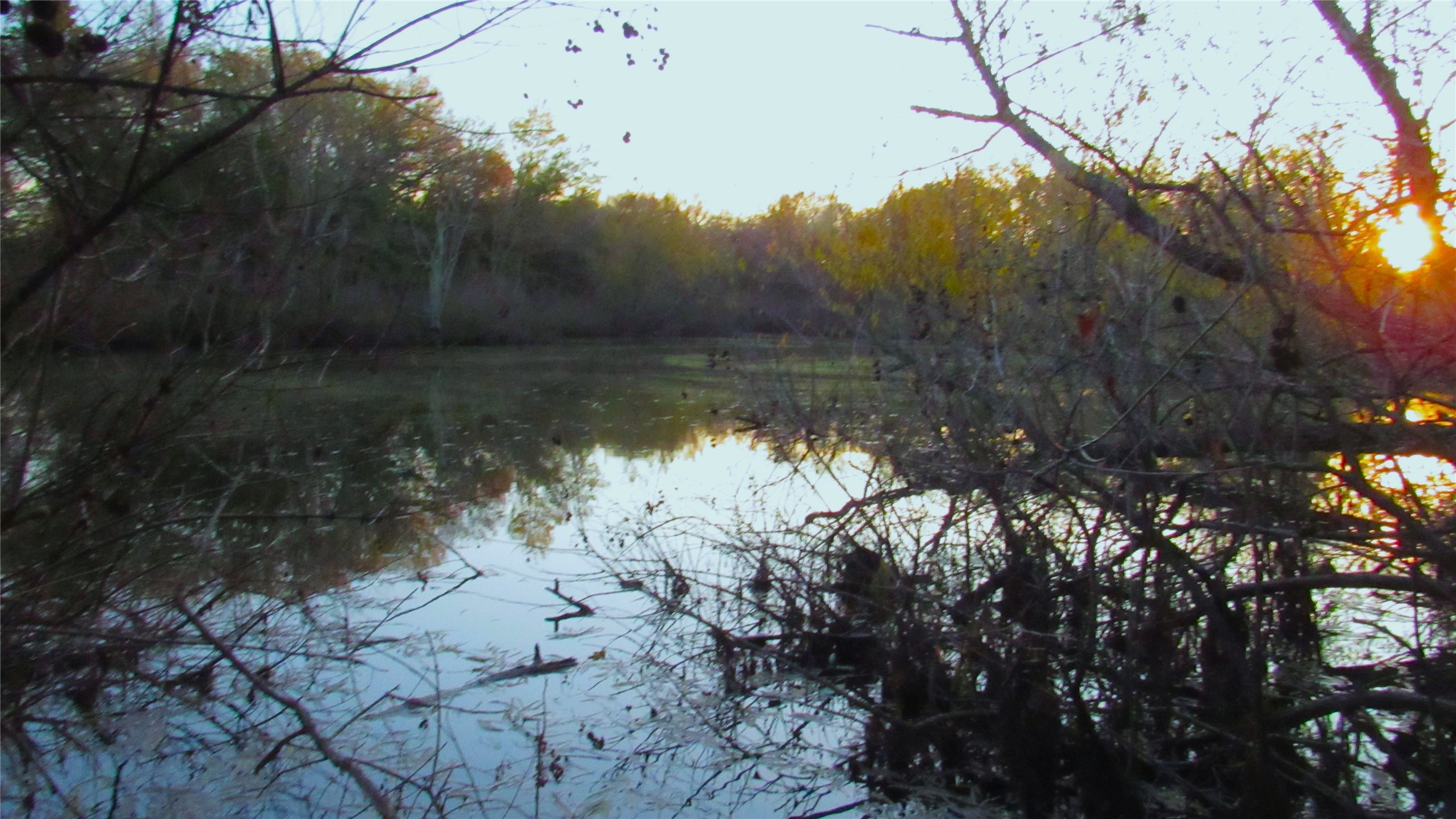 Tbd County Road 4736 Cumby TX 75433