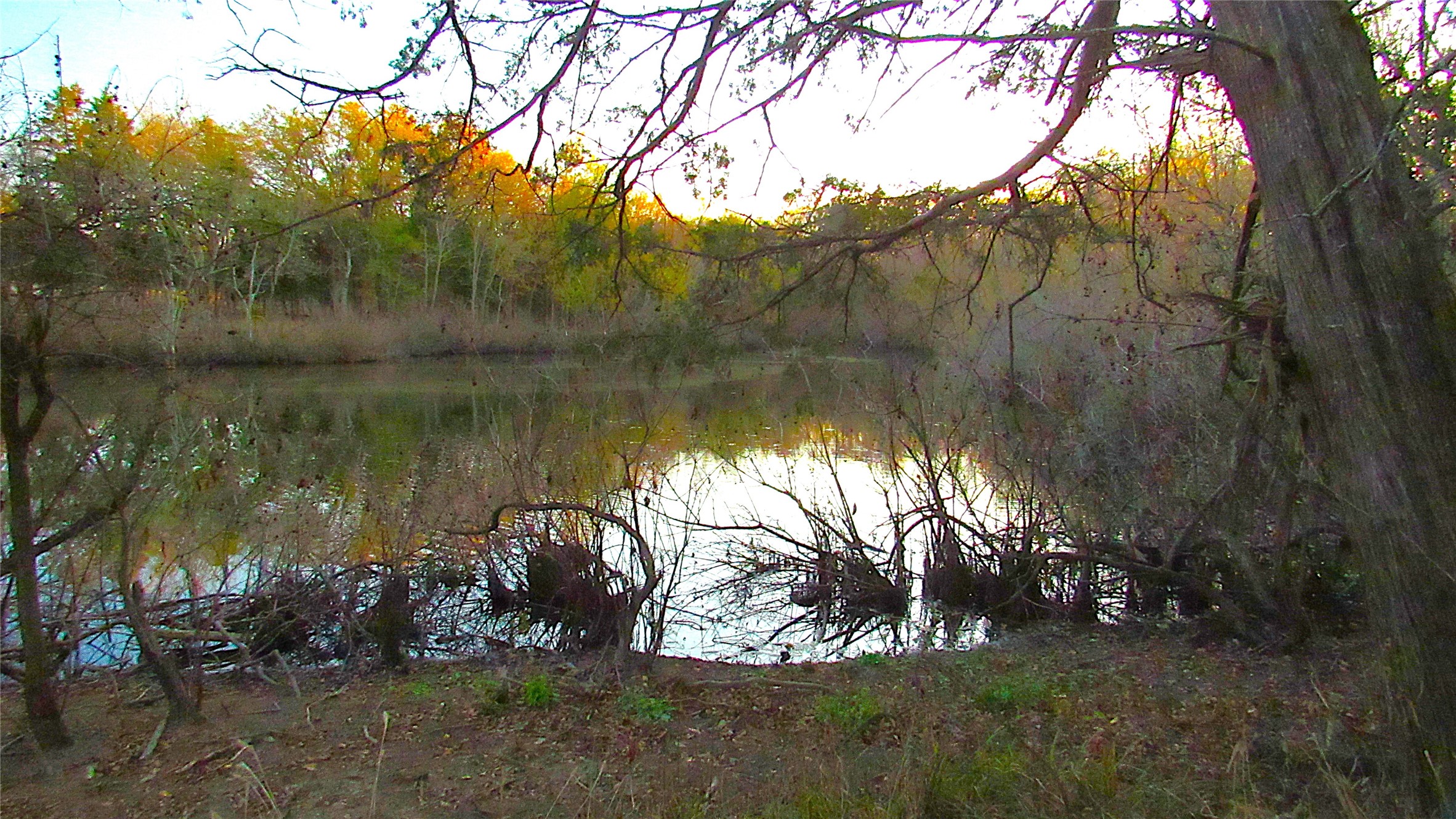 Tbd County Road 4736 Cumby TX 75433