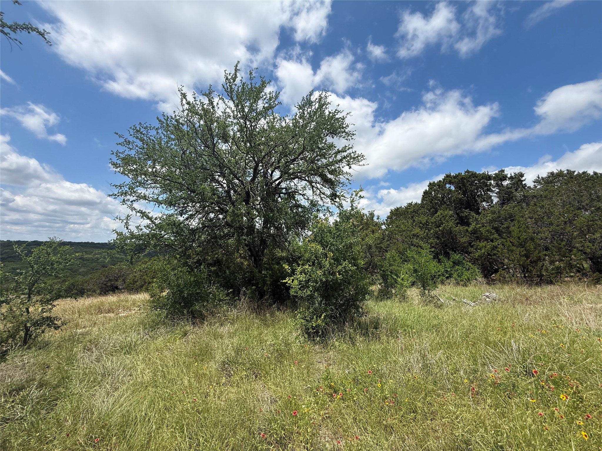 10151 Horizon View Tolar TX 76476