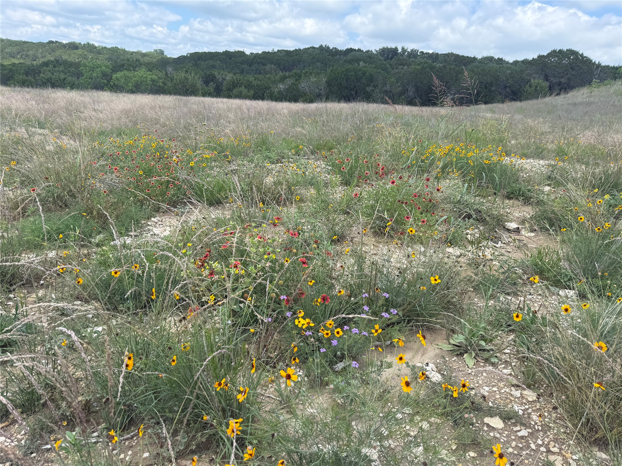 10151 Horizon View Tolar TX 76476