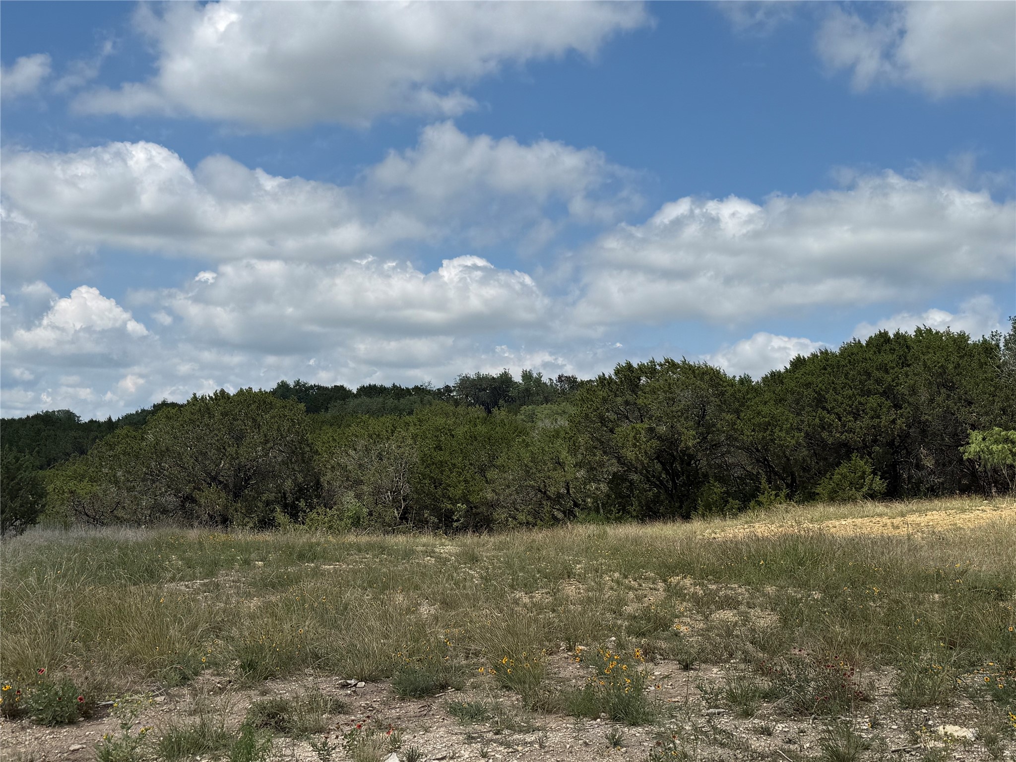 10151 Horizon View Tolar TX 76476