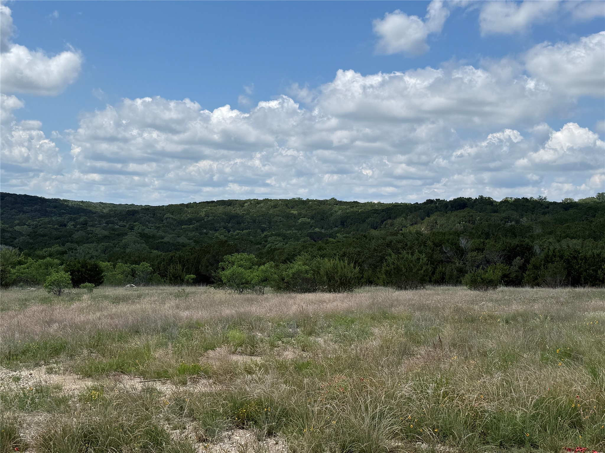 10151 Horizon View Tolar TX 76476