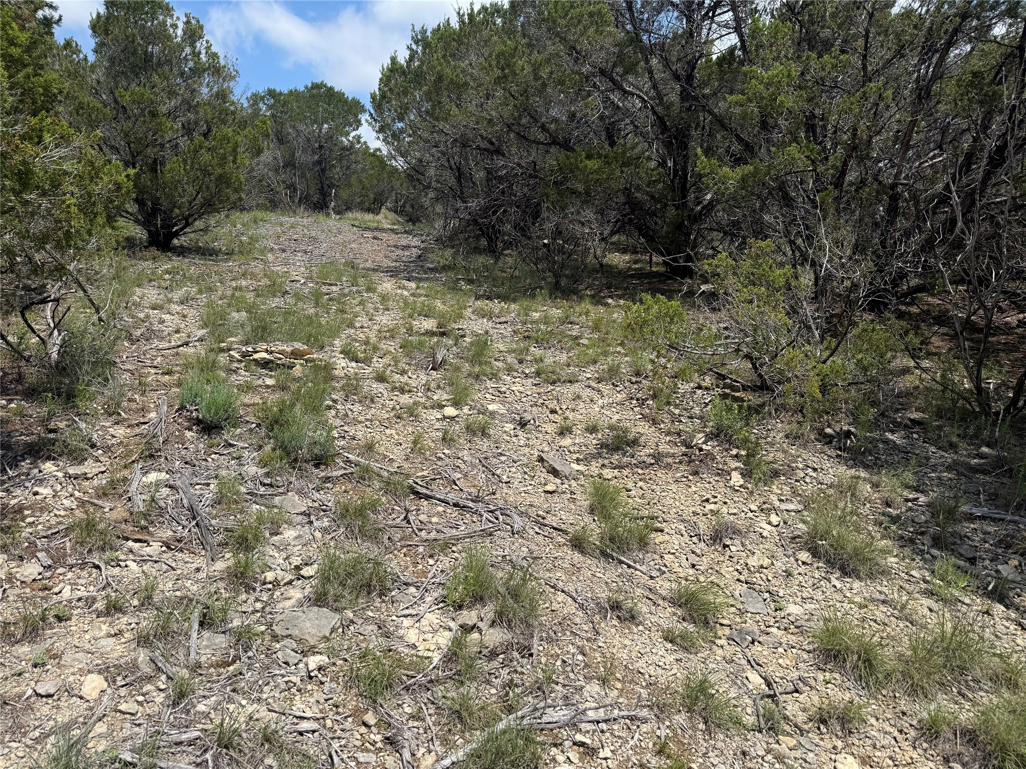 10151 Horizon View Tolar TX 76476