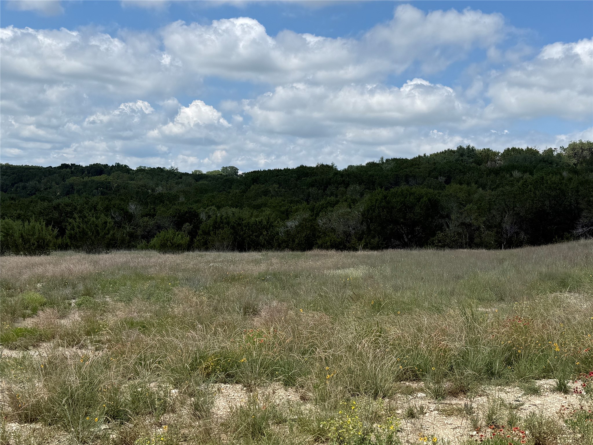 10151 Horizon View Tolar TX 76476