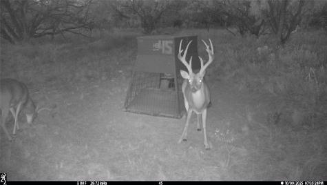tbd Tbd Cnty Road 291 Breckenridge TX 76464