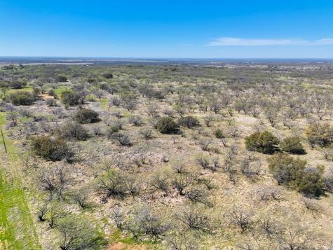 Tbd Cnty Road 291 Breckenridge TX 76464