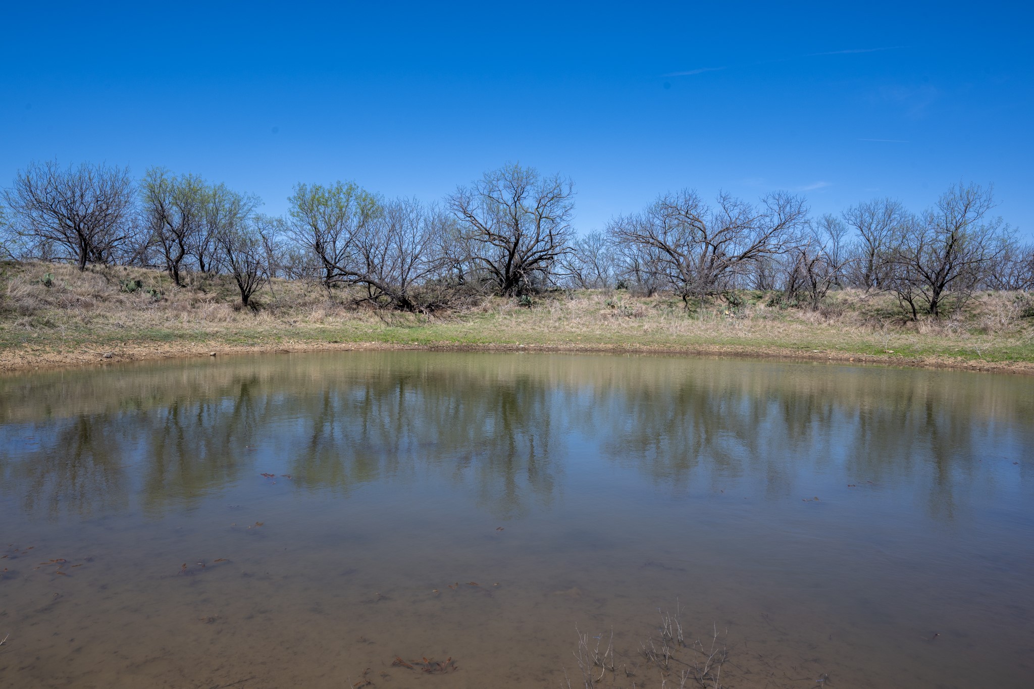 Tbd Cnty Road 291 Breckenridge TX 76464