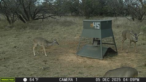 Tbd Cnty Road 291 Breckenridge TX 76464