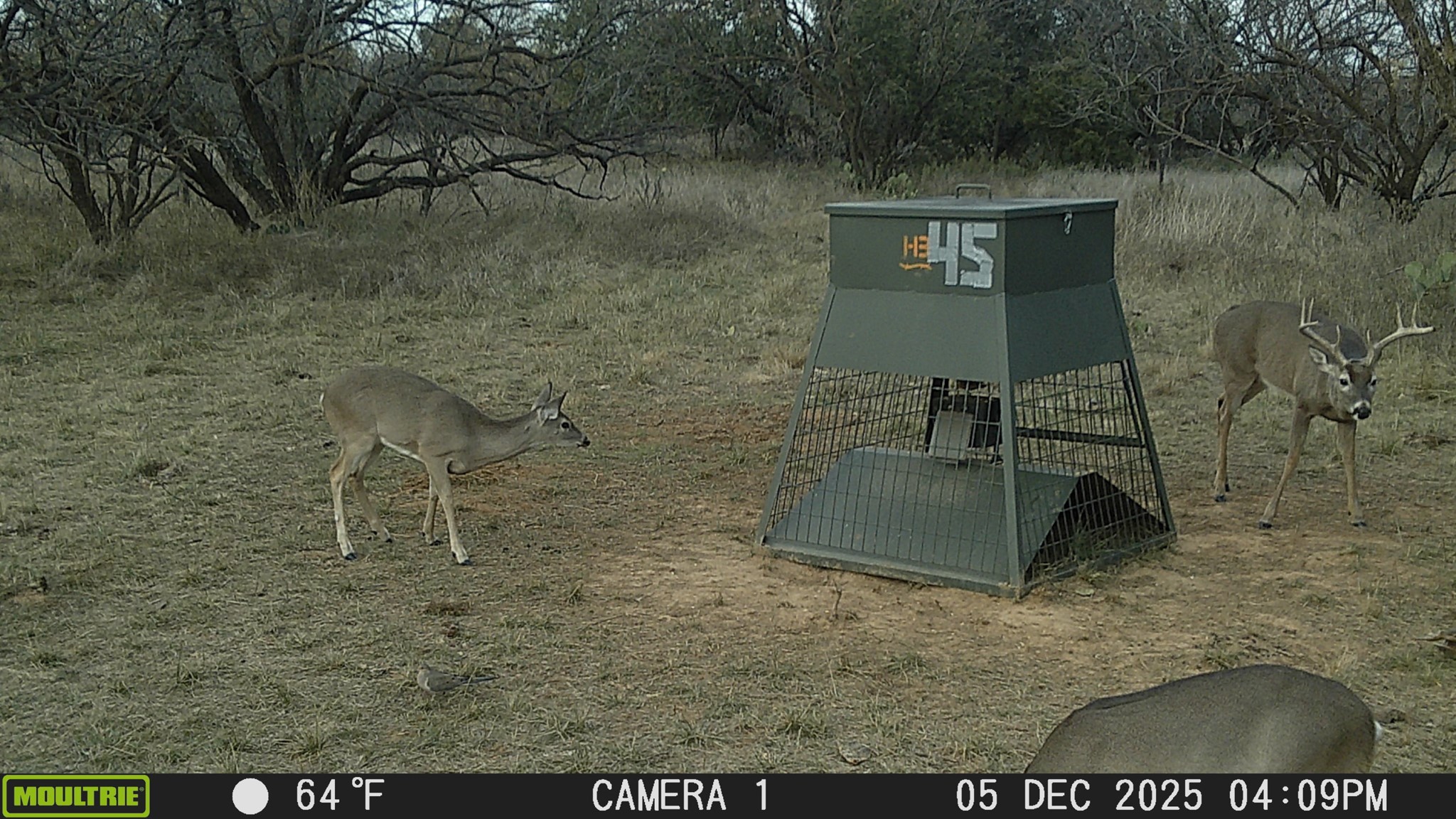 Tbd Cnty Road 291 Breckenridge TX 76464