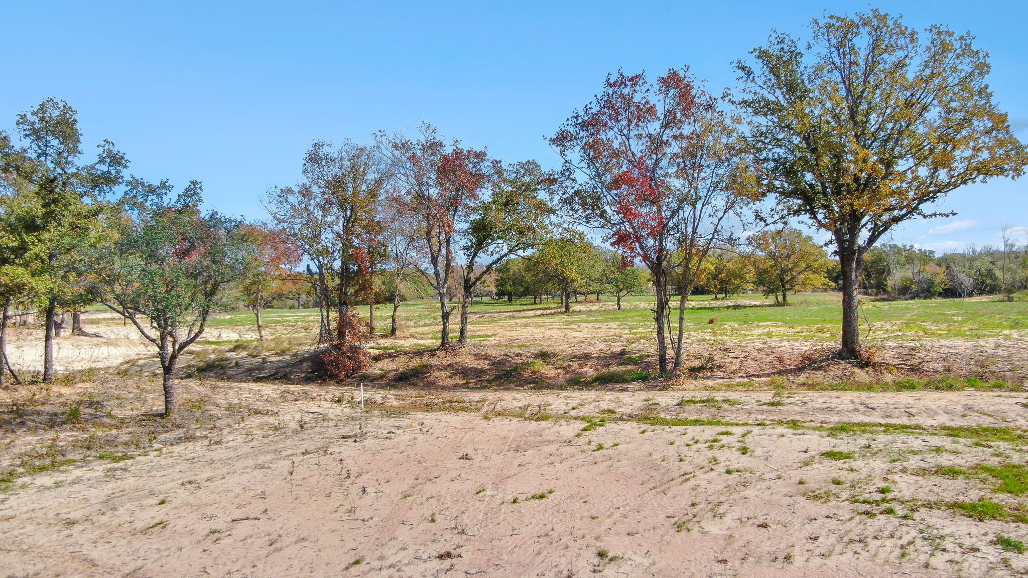 Lot 5 Advance Poolville TX 76487