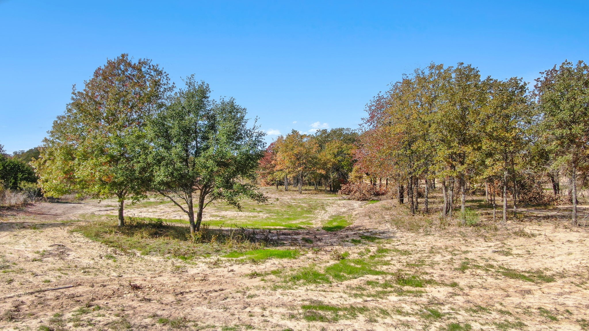 Lot 5 Advance Poolville TX 76487