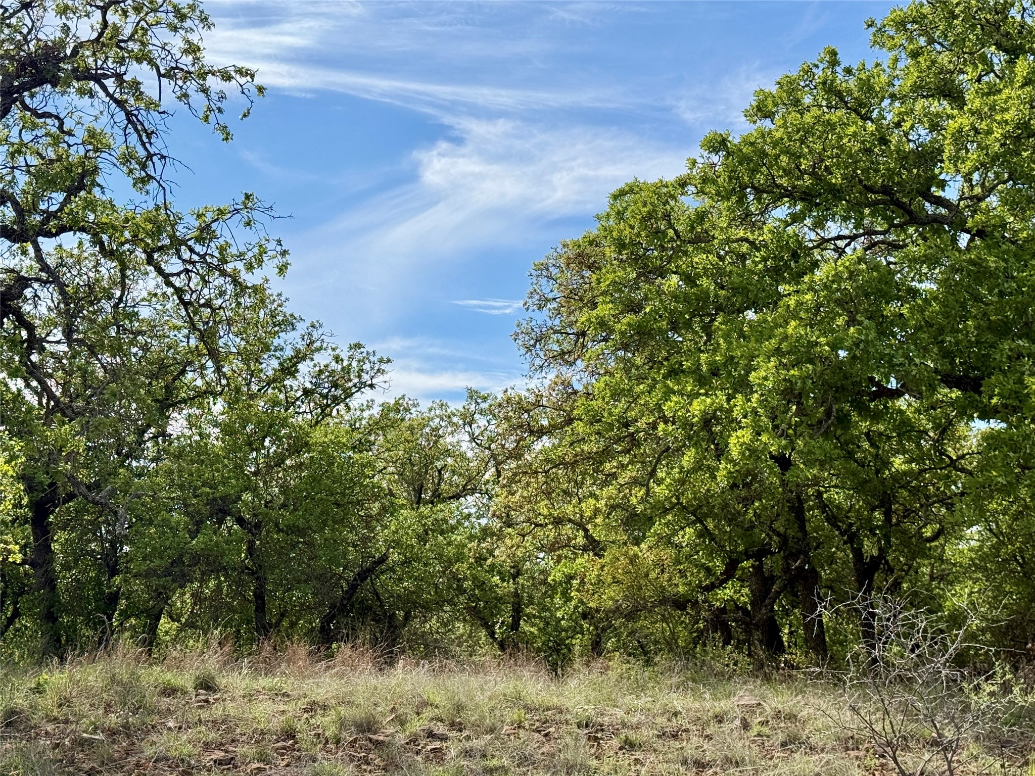 8501 Fm 1850 Brownwood TX 76801