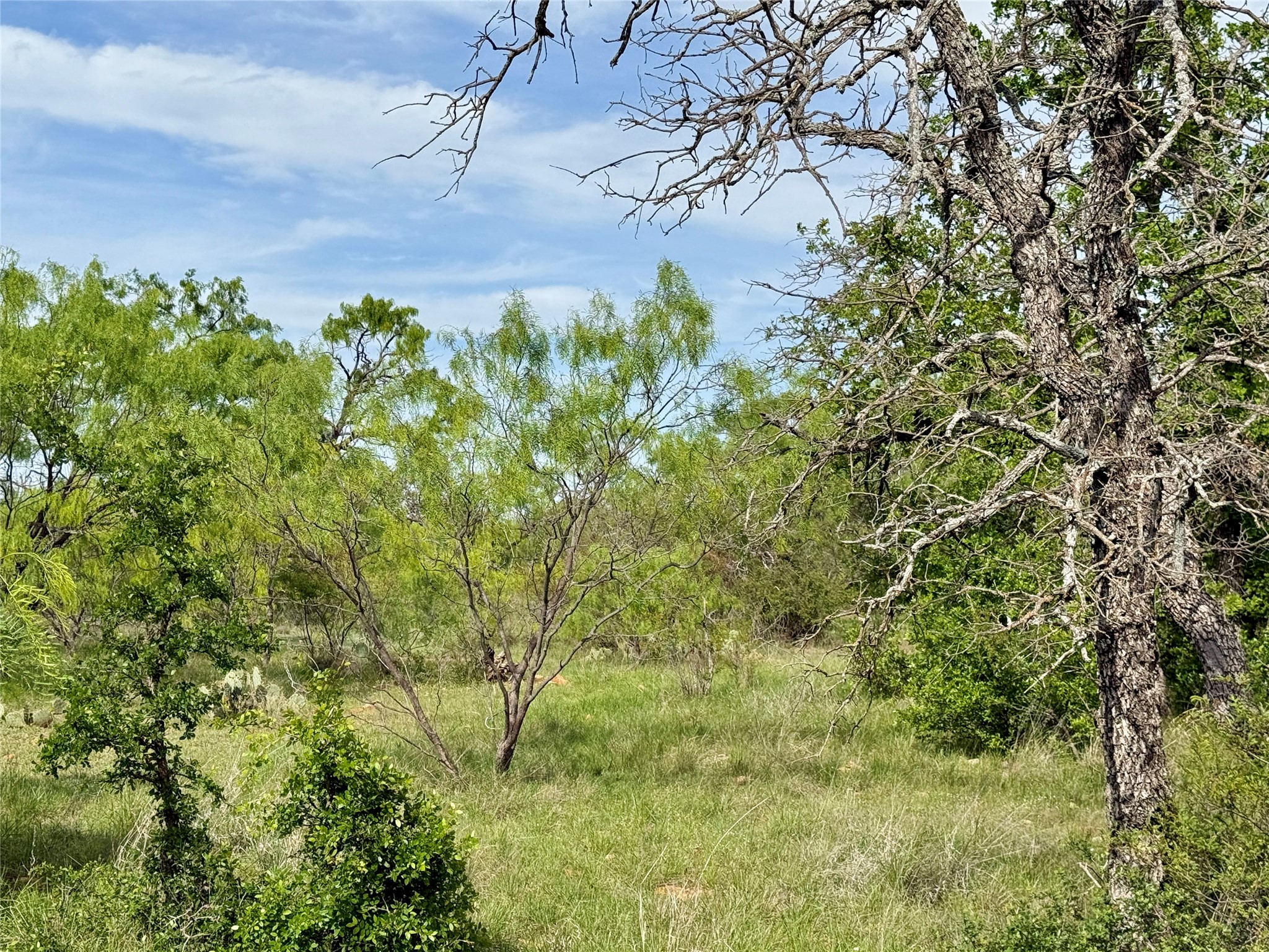 8501 Fm 1850 Brownwood TX 76801