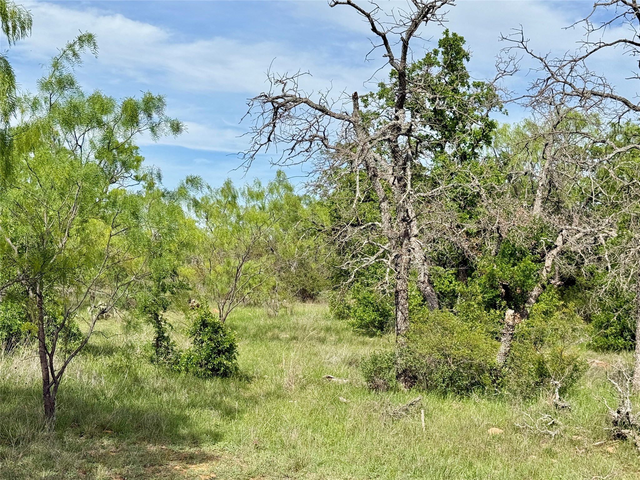 8501 Fm 1850 Brownwood TX 76801