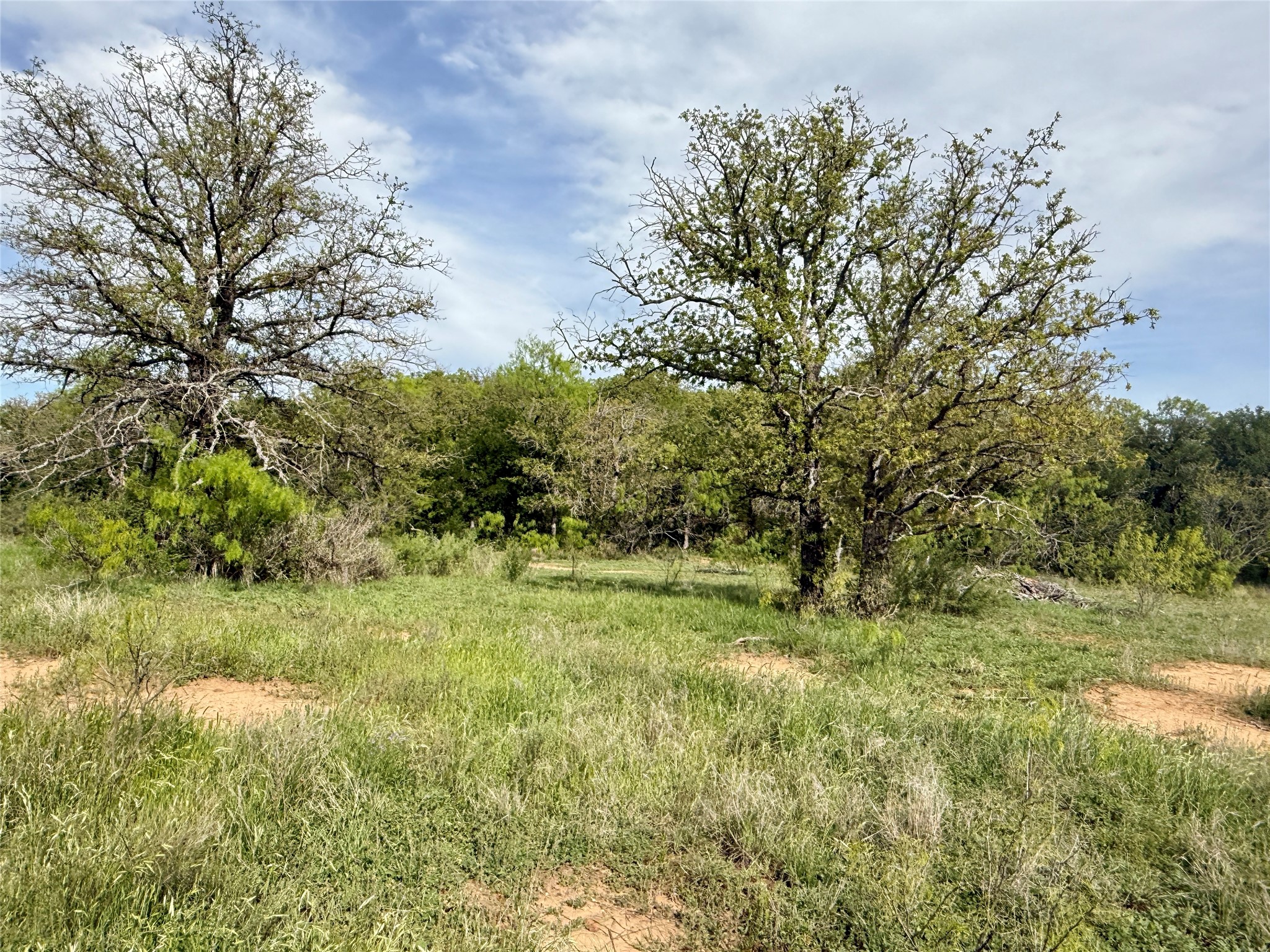 8501 Fm 1850 Brownwood TX 76801