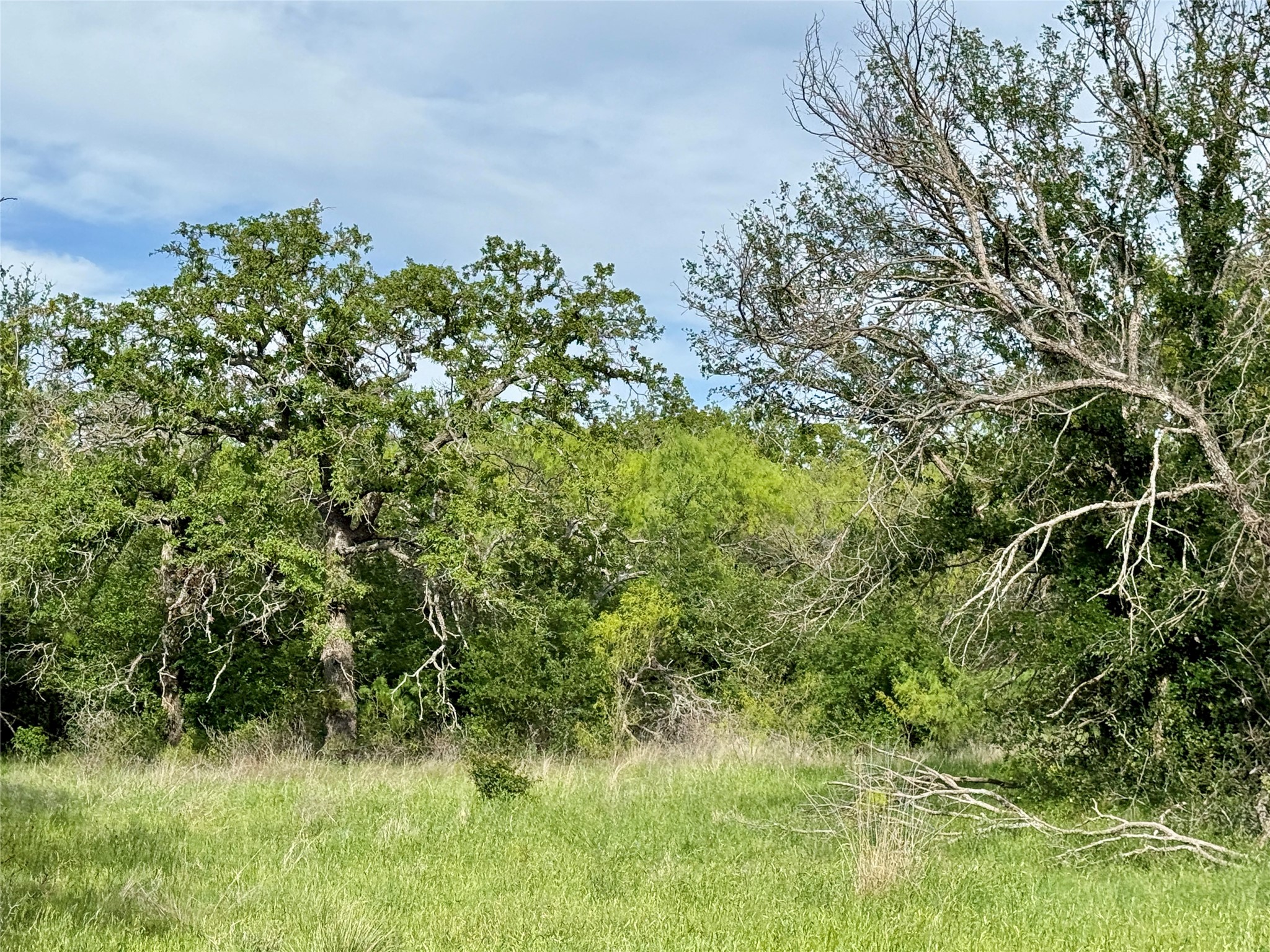 8501 Fm 1850 Brownwood TX 76801
