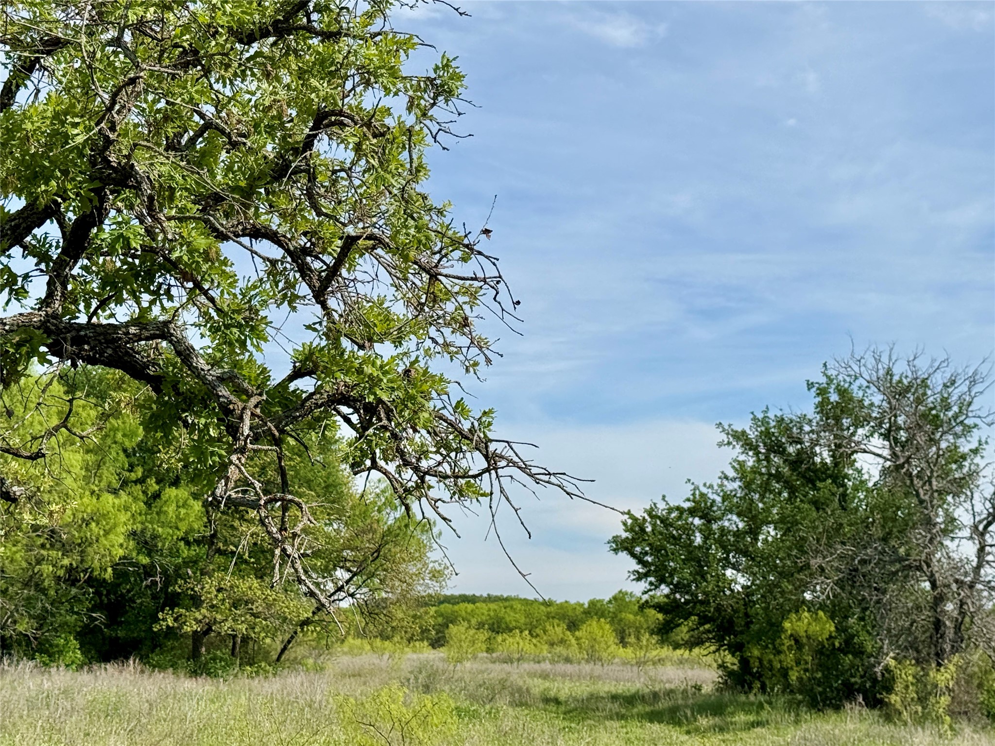 8501 Fm 1850 Brownwood TX 76801