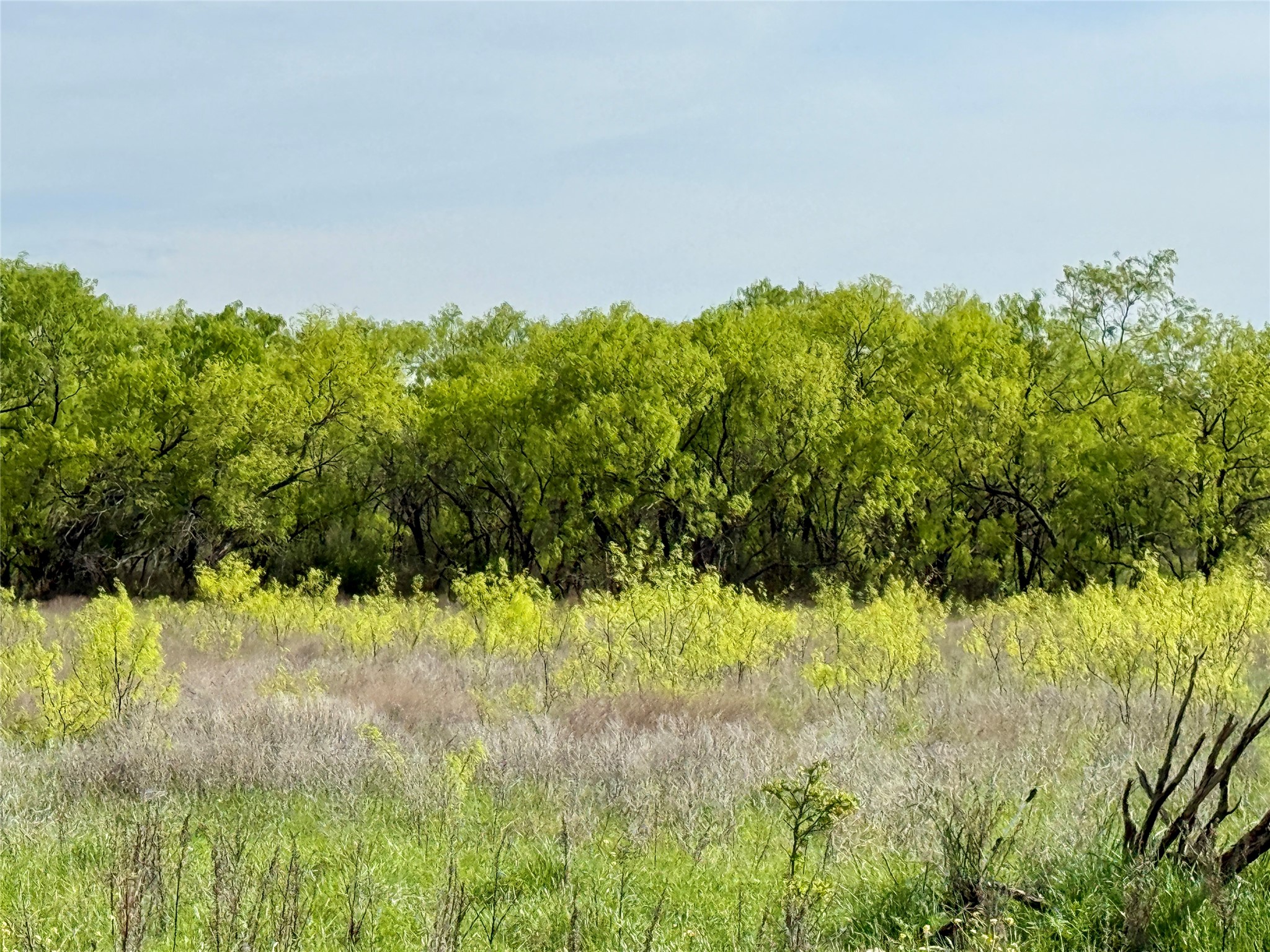 8501 Fm 1850 Brownwood TX 76801