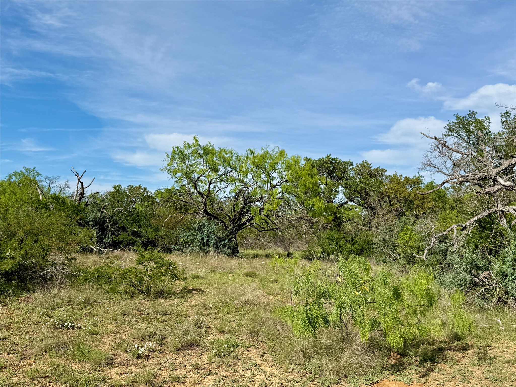 8501 Fm 1850 Brownwood TX 76801