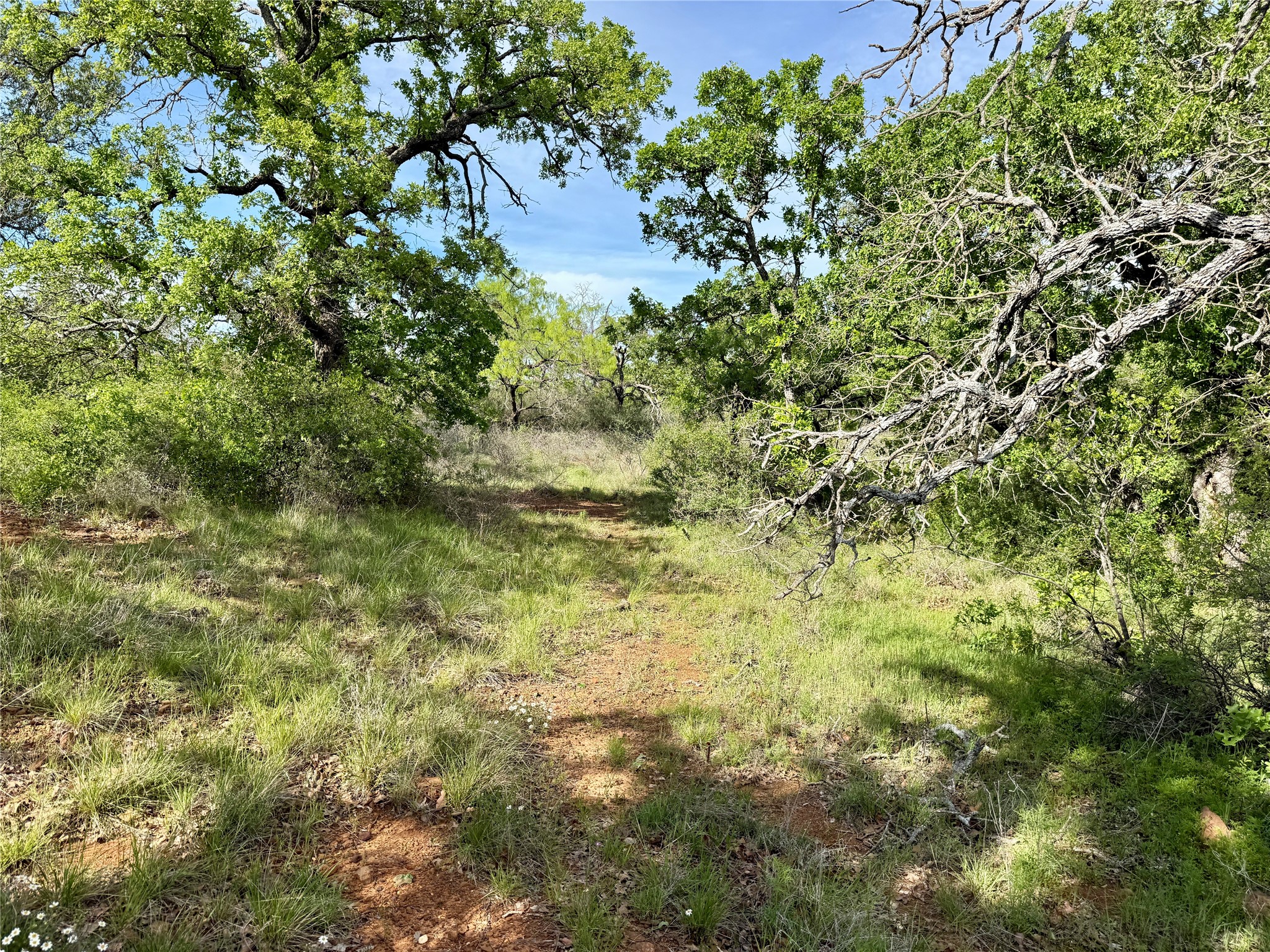 8501 Fm 1850 Brownwood TX 76801
