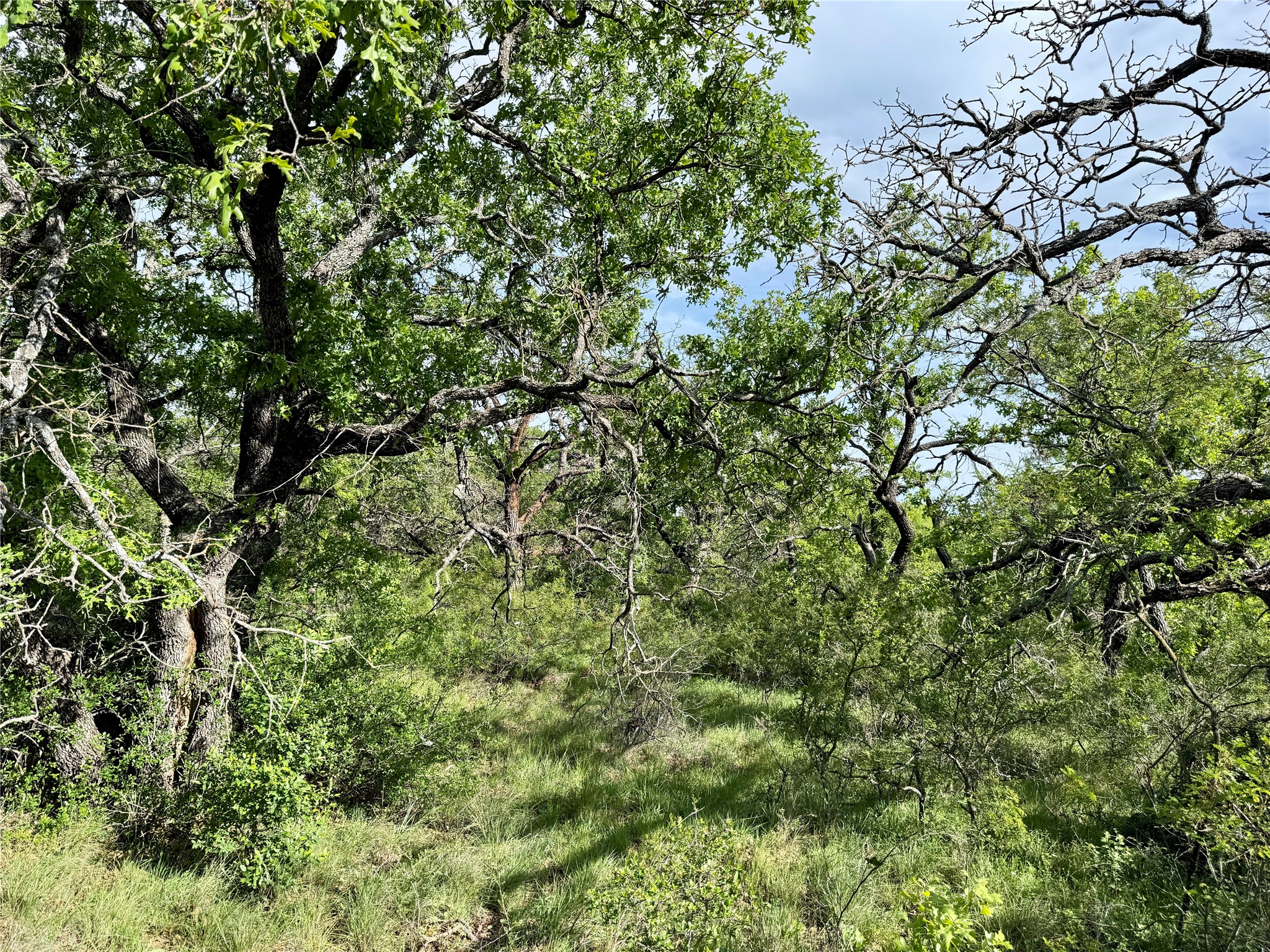 8501 Fm 1850 Brownwood TX 76801