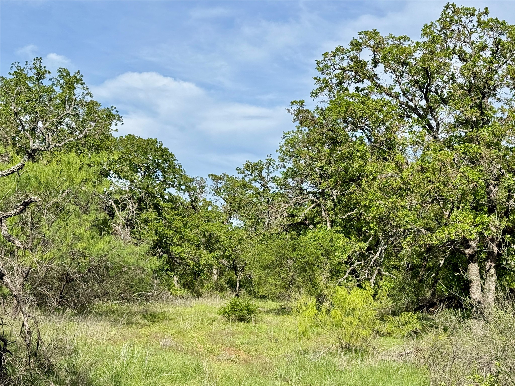 8501 Fm 1850 Brownwood TX 76801