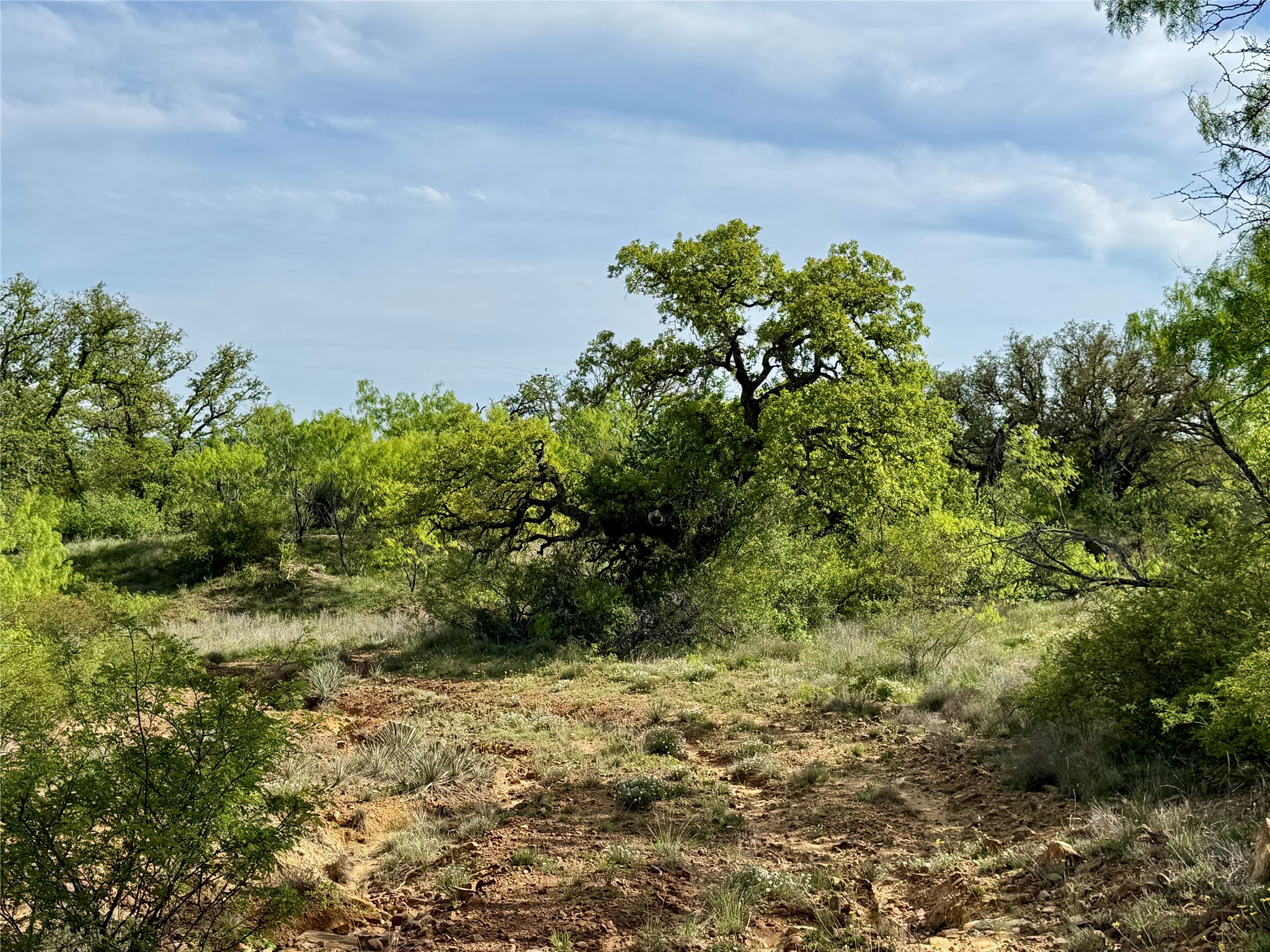 8501 Fm 1850 Brownwood TX 76801