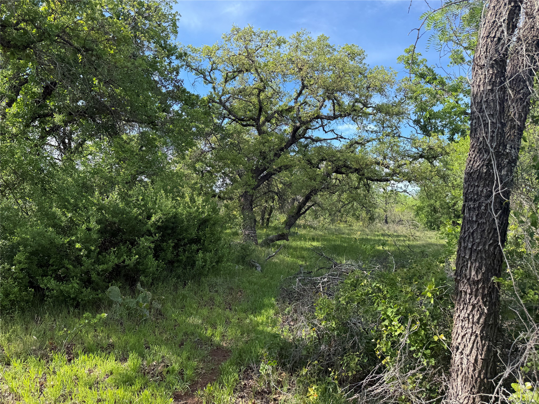8501 Fm 1850 Brownwood TX 76801