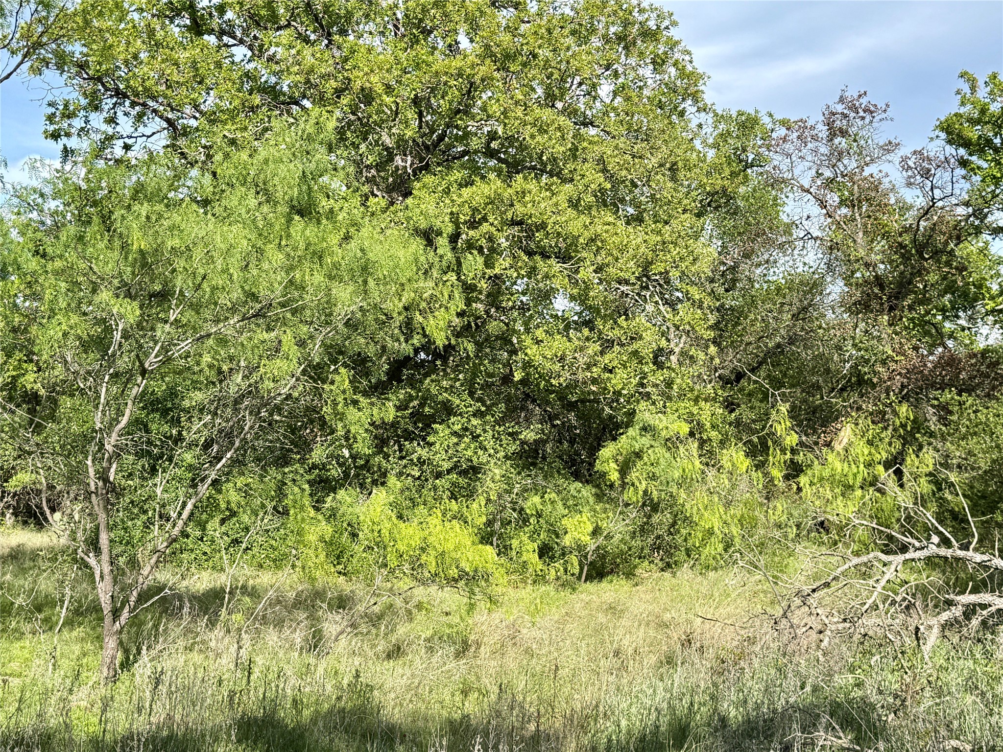 8501 Fm 1850 Brownwood TX 76801